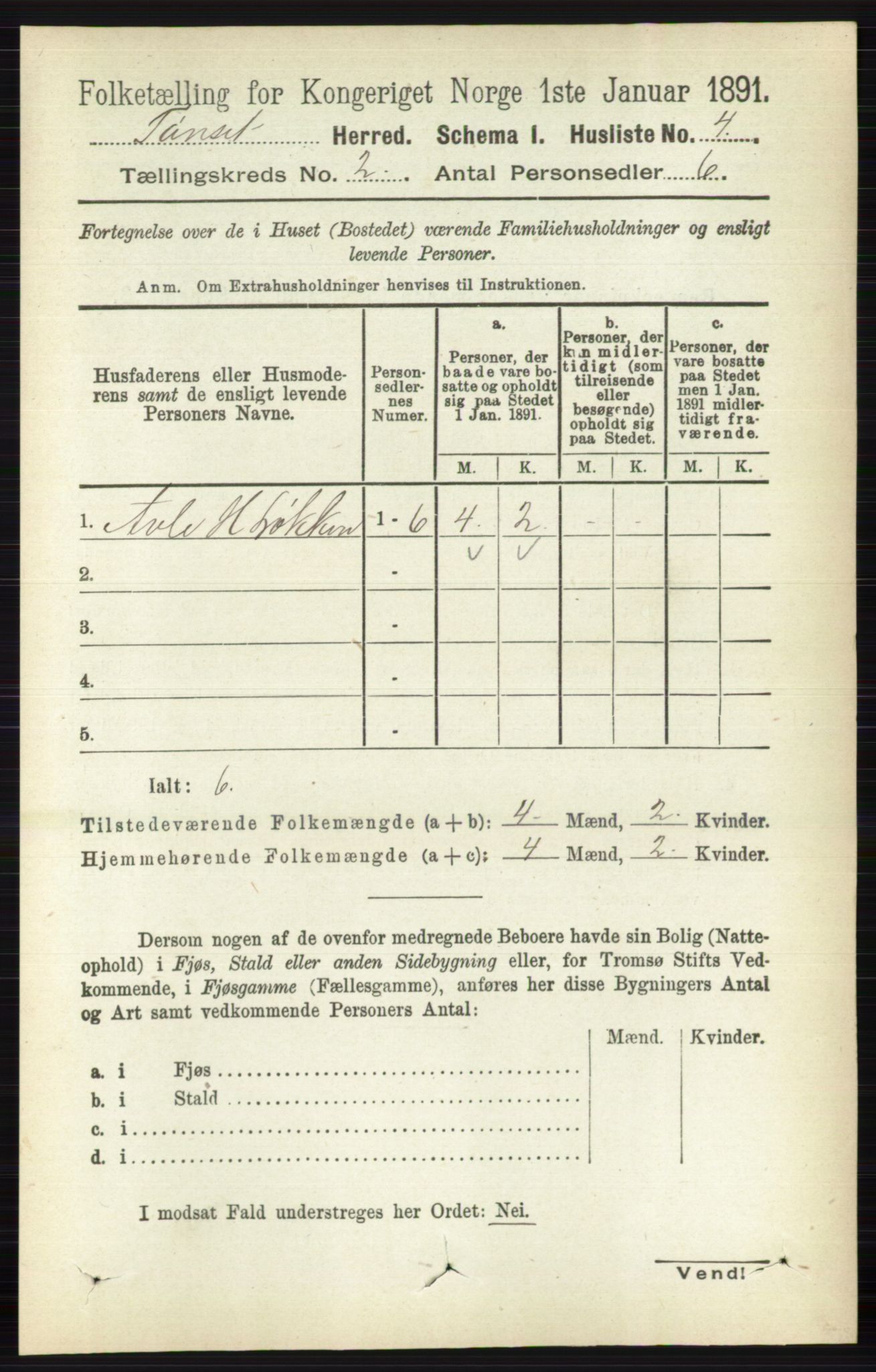 RA, Folketelling 1891 for 0437 Tynset herred, 1891, s. 298