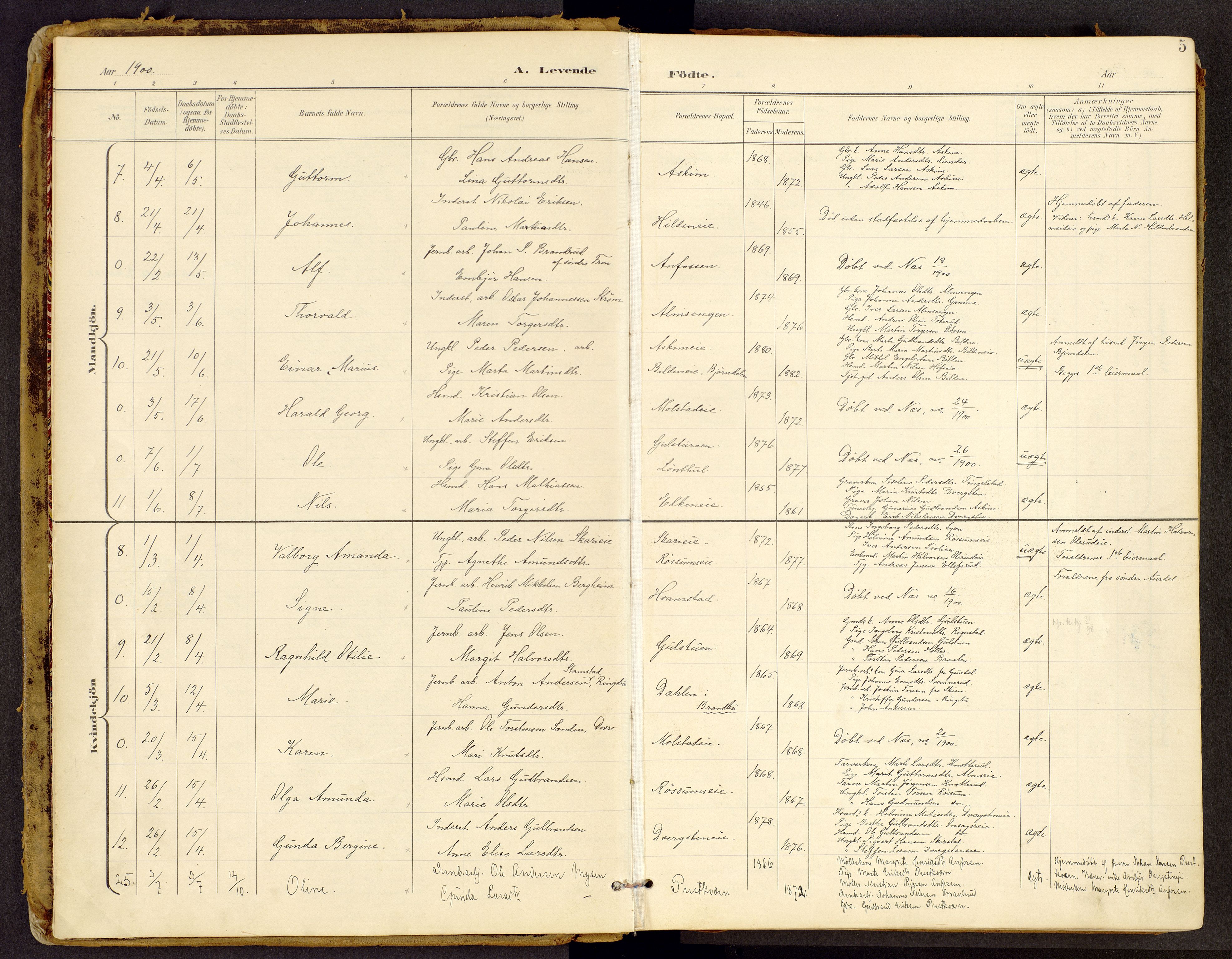 Brandbu prestekontor, SAH/PREST-114/H/Ha/Haa/L0002: Ministerialbok nr. 2, 1899-1914, s. 5