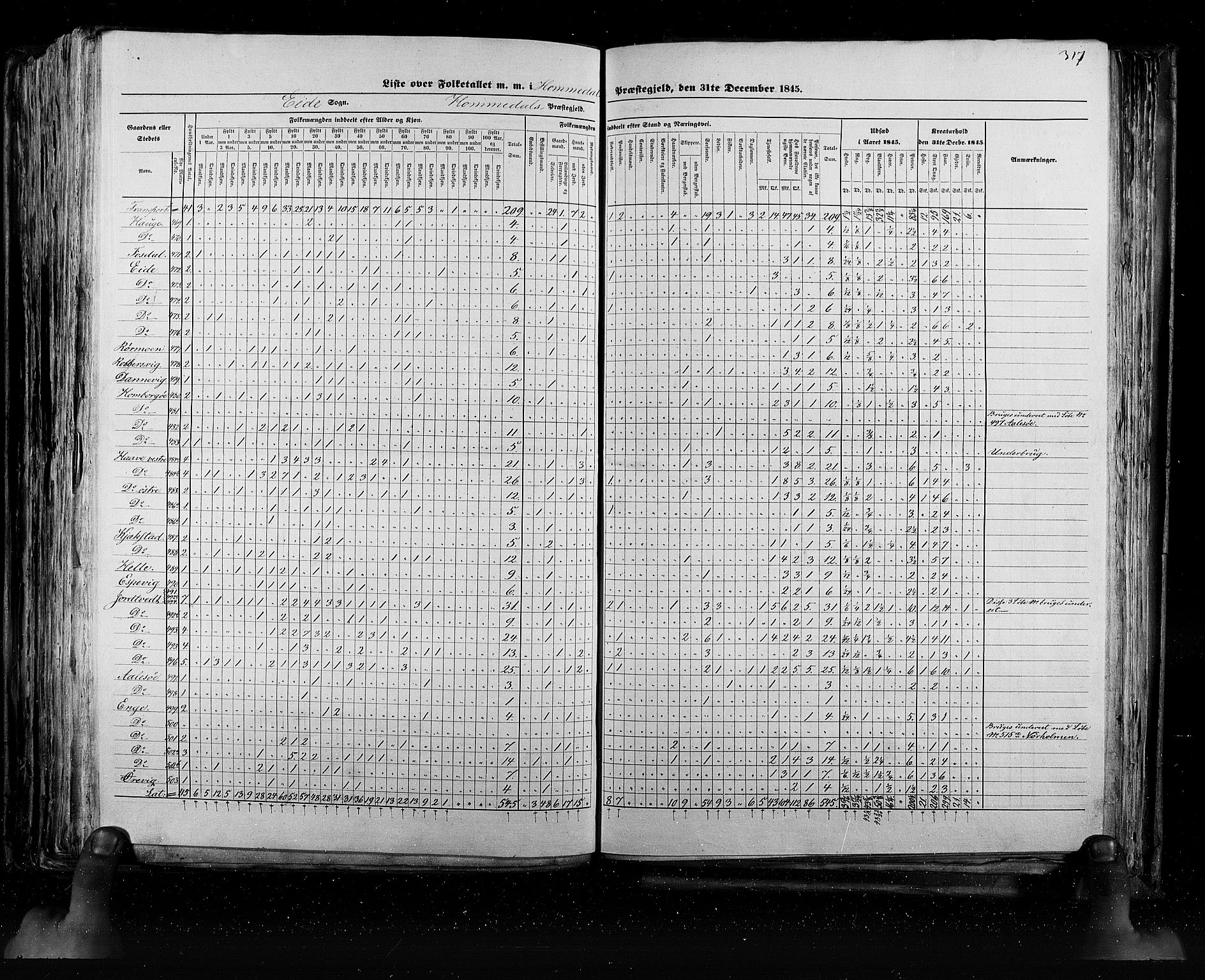 RA, Folketellingen 1845, bind 5: Bratsberg amt og Nedenes og Råbyggelaget amt, 1845, s. 317