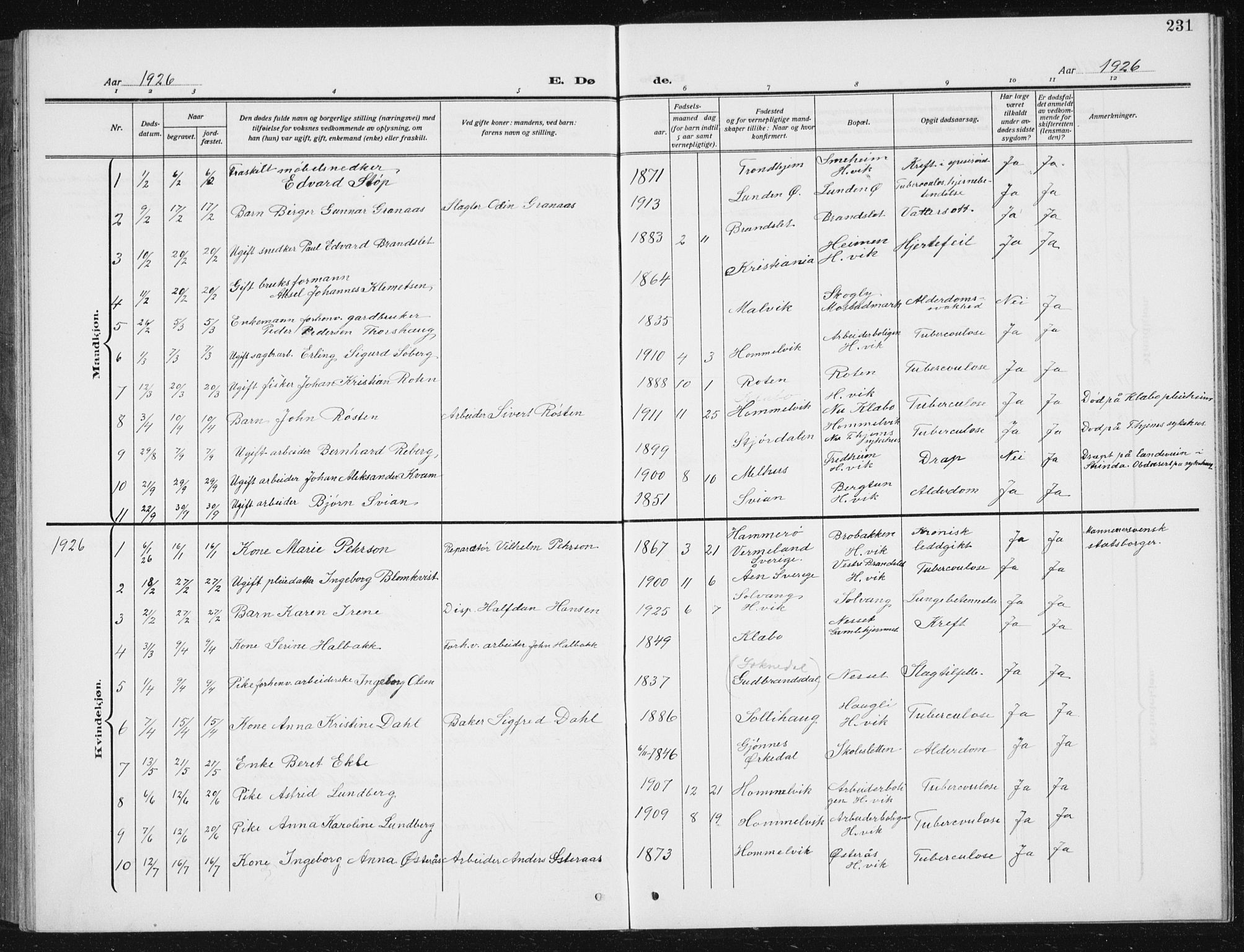 Ministerialprotokoller, klokkerbøker og fødselsregistre - Sør-Trøndelag, SAT/A-1456/617/L0431: Klokkerbok nr. 617C02, 1910-1936, s. 231