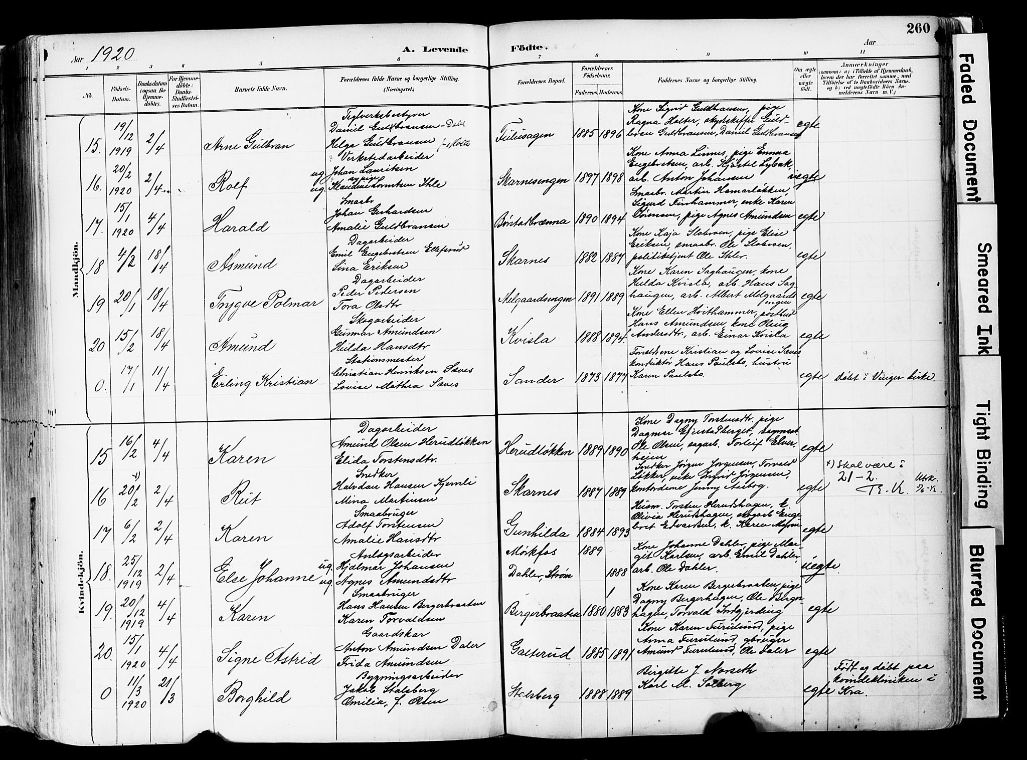 Sør-Odal prestekontor, SAH/PREST-030/H/Ha/Haa/L0006: Ministerialbok nr. 6, 1886-1931, s. 260