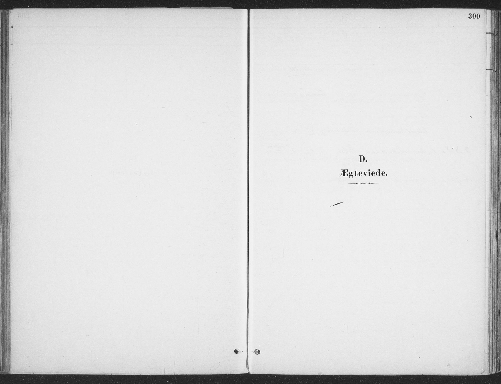 Ibestad sokneprestembete, AV/SATØ-S-0077/H/Ha/Haa/L0011kirke: Ministerialbok nr. 11, 1880-1889, s. 300