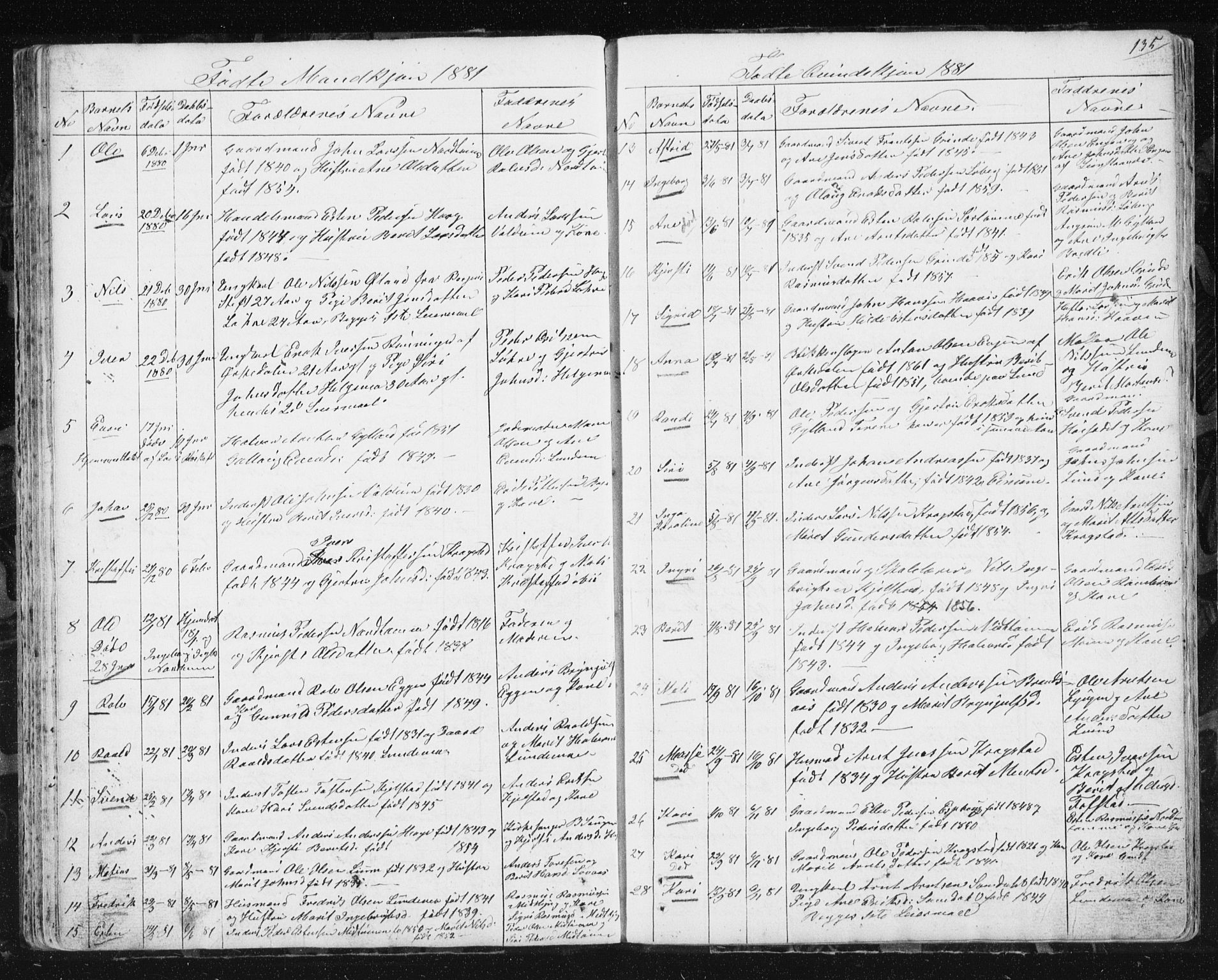 Ministerialprotokoller, klokkerbøker og fødselsregistre - Sør-Trøndelag, SAT/A-1456/692/L1110: Klokkerbok nr. 692C05, 1849-1889, s. 135
