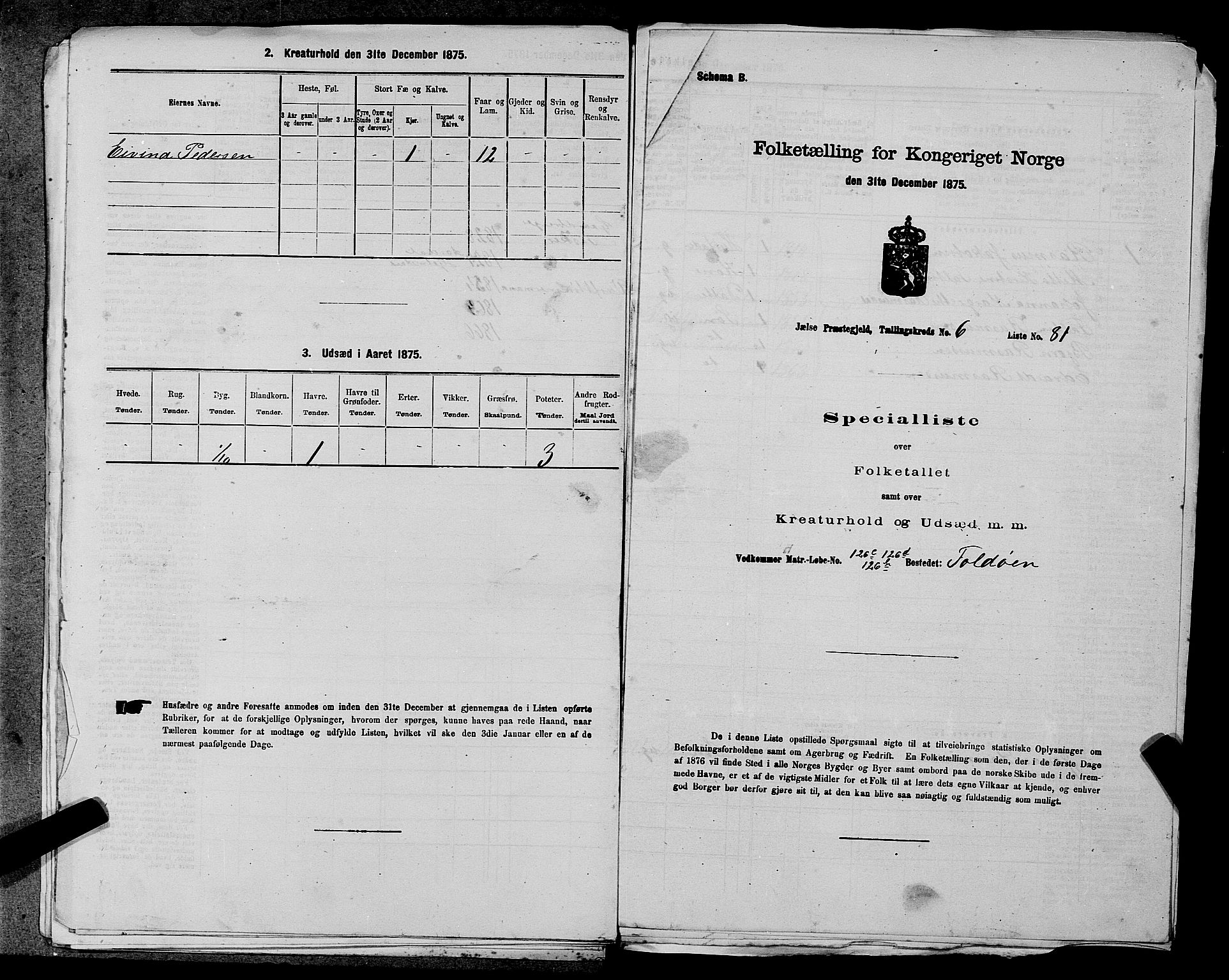 SAST, Folketelling 1875 for 1138P Jelsa prestegjeld, 1875, s. 577