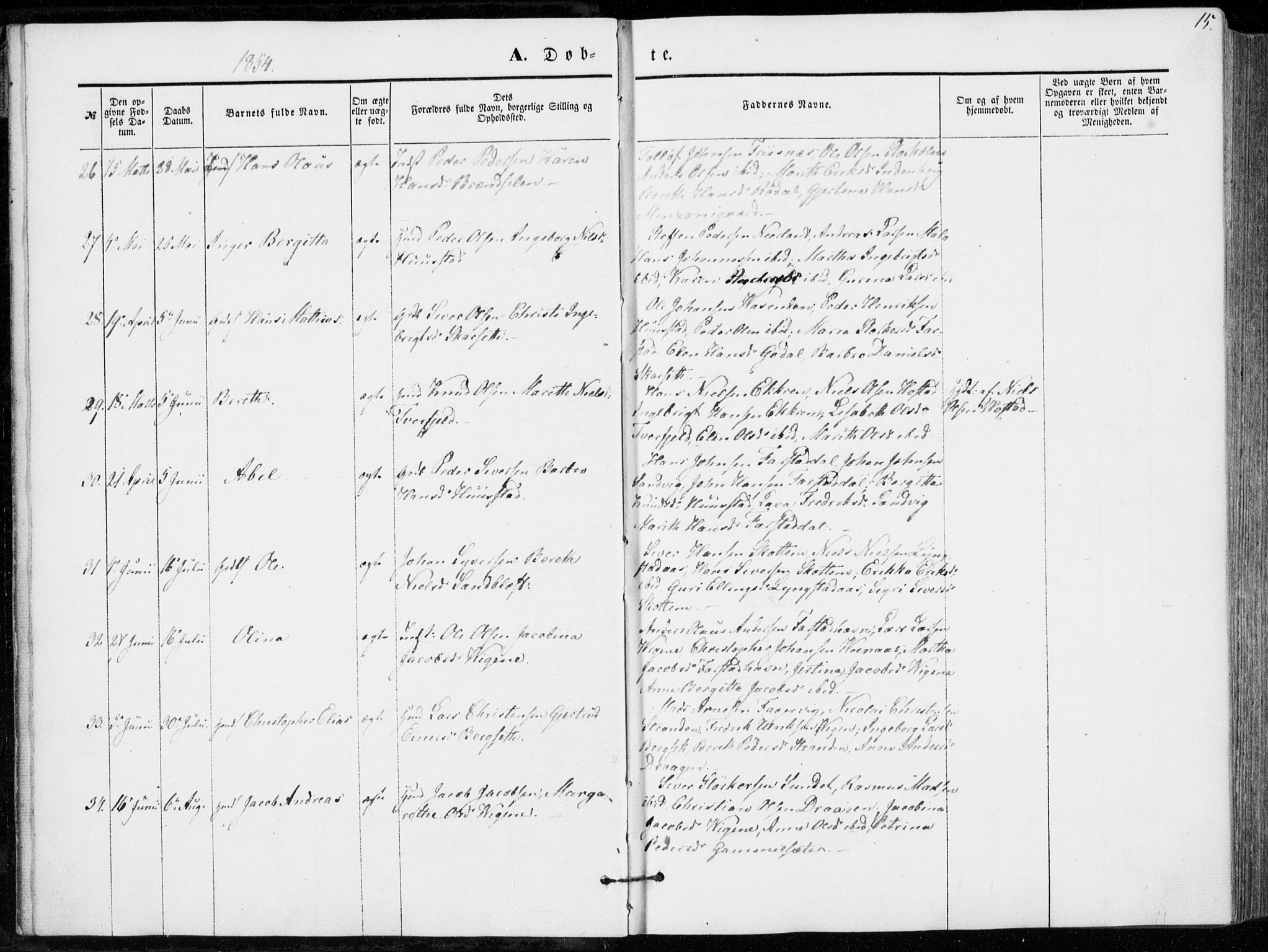 Ministerialprotokoller, klokkerbøker og fødselsregistre - Møre og Romsdal, AV/SAT-A-1454/566/L0767: Ministerialbok nr. 566A06, 1852-1868, s. 15