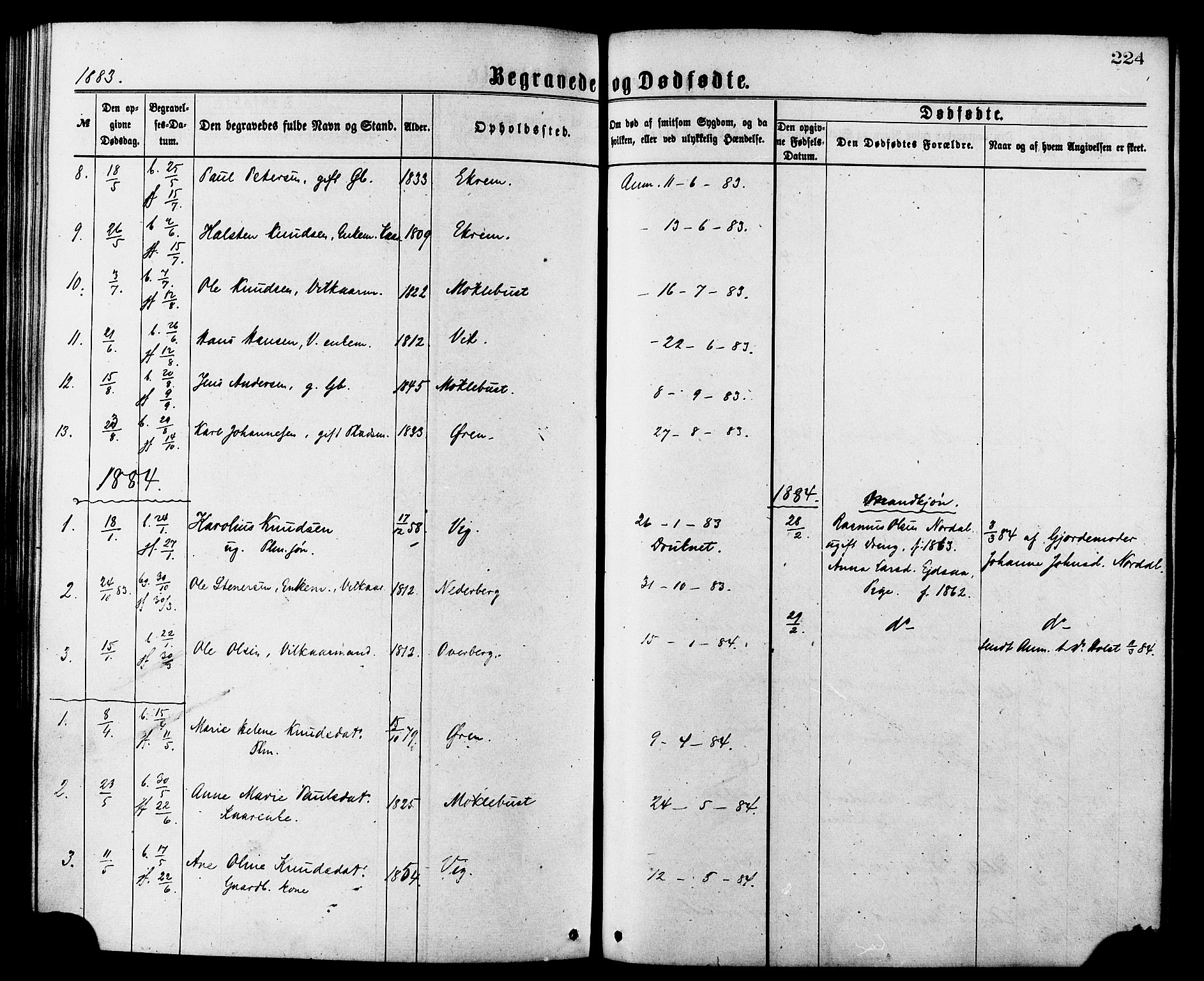 Ministerialprotokoller, klokkerbøker og fødselsregistre - Møre og Romsdal, AV/SAT-A-1454/502/L0024: Ministerialbok nr. 502A02, 1873-1884, s. 224