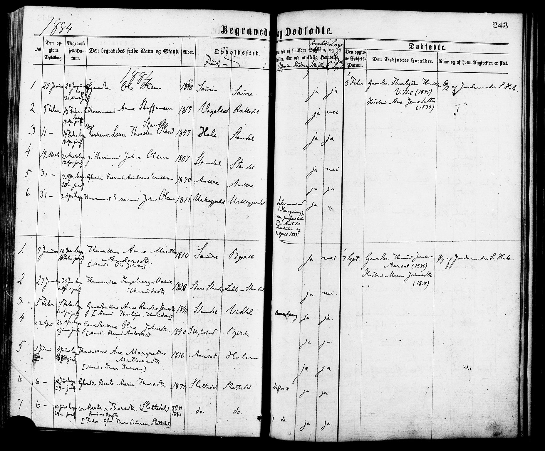 Ministerialprotokoller, klokkerbøker og fødselsregistre - Møre og Romsdal, AV/SAT-A-1454/515/L0210: Ministerialbok nr. 515A06, 1868-1885, s. 243