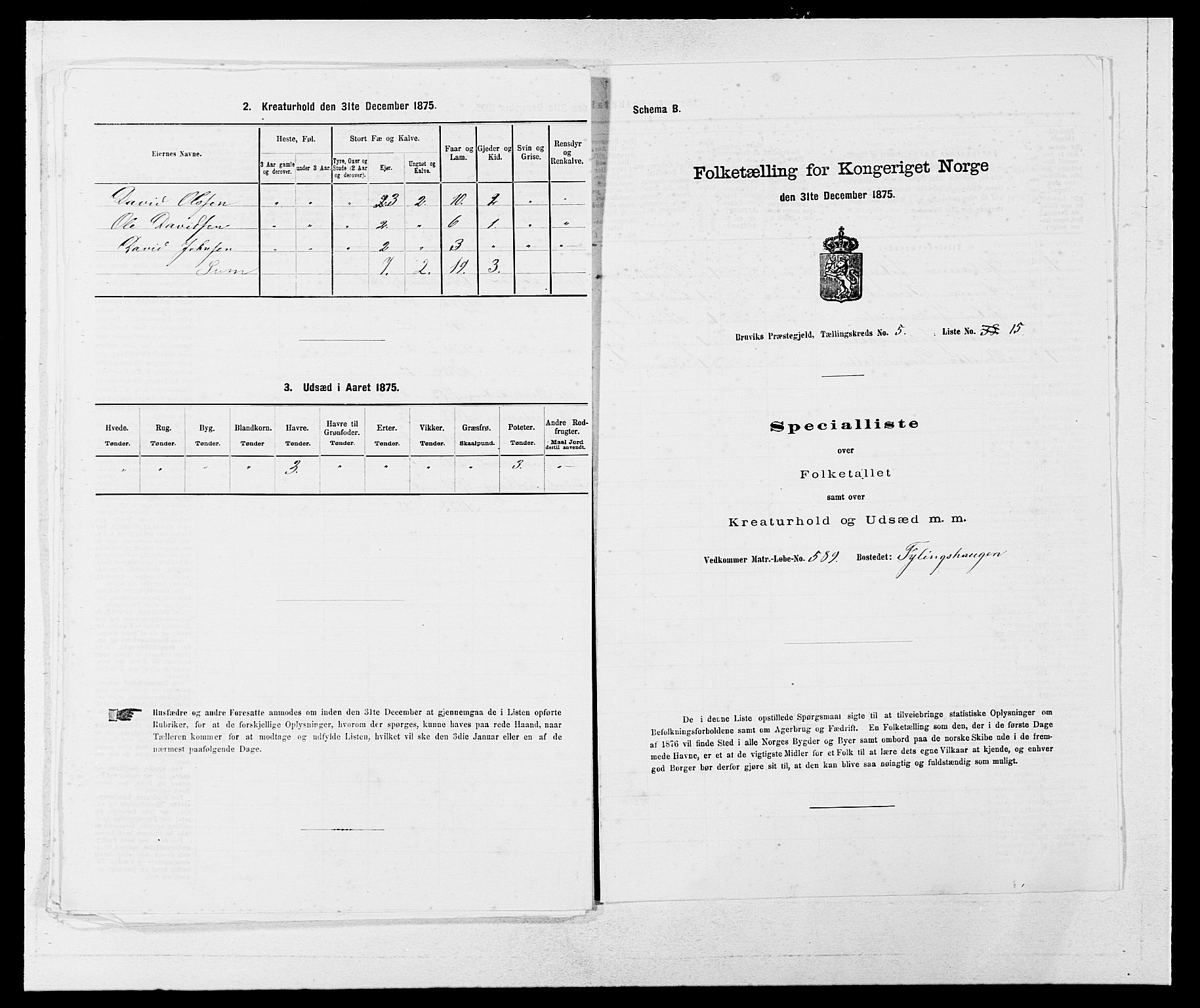 SAB, Folketelling 1875 for 1251P Bruvik prestegjeld, 1875, s. 433