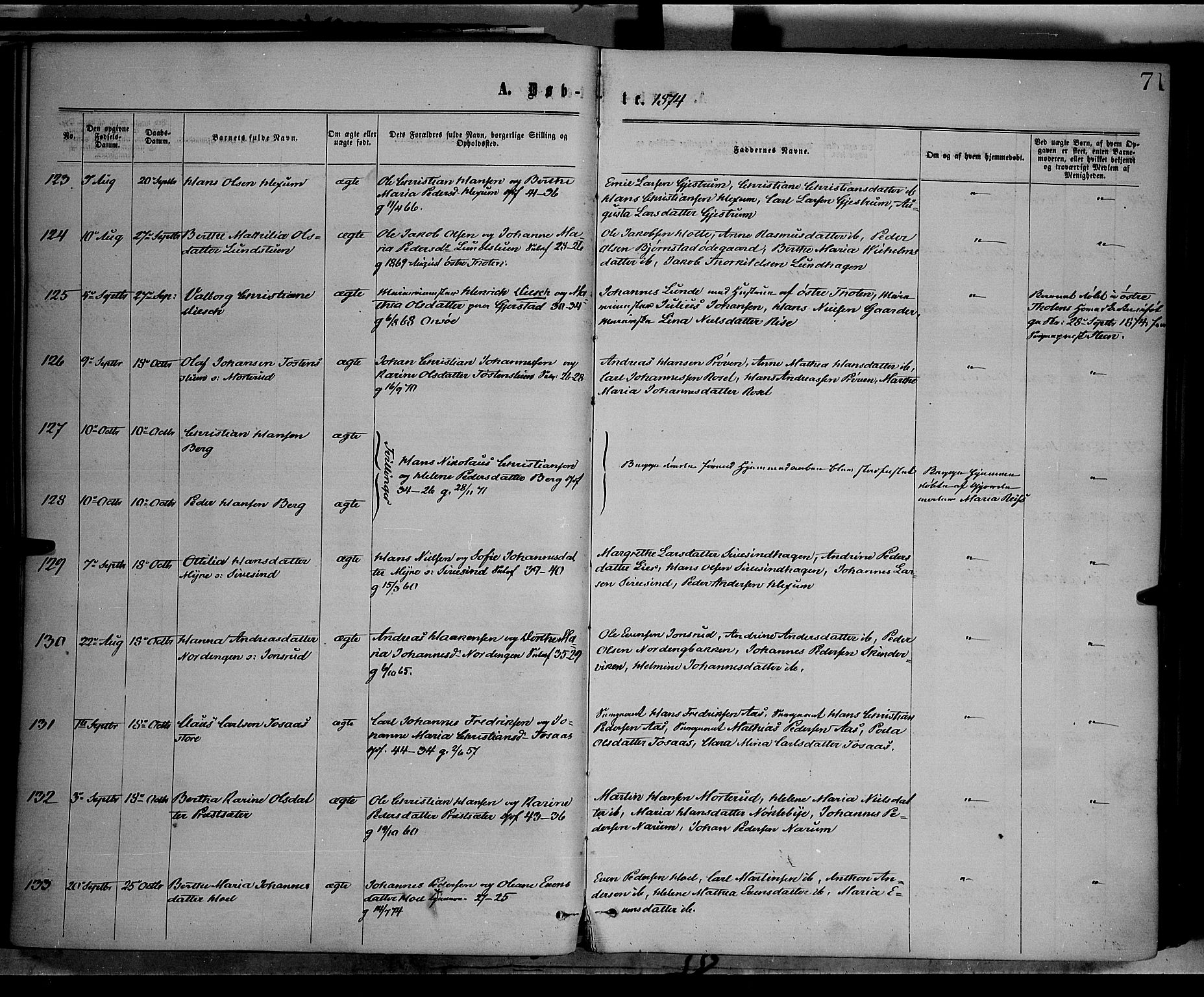 Vestre Toten prestekontor, AV/SAH-PREST-108/H/Ha/Haa/L0008: Ministerialbok nr. 8, 1870-1877, s. 71