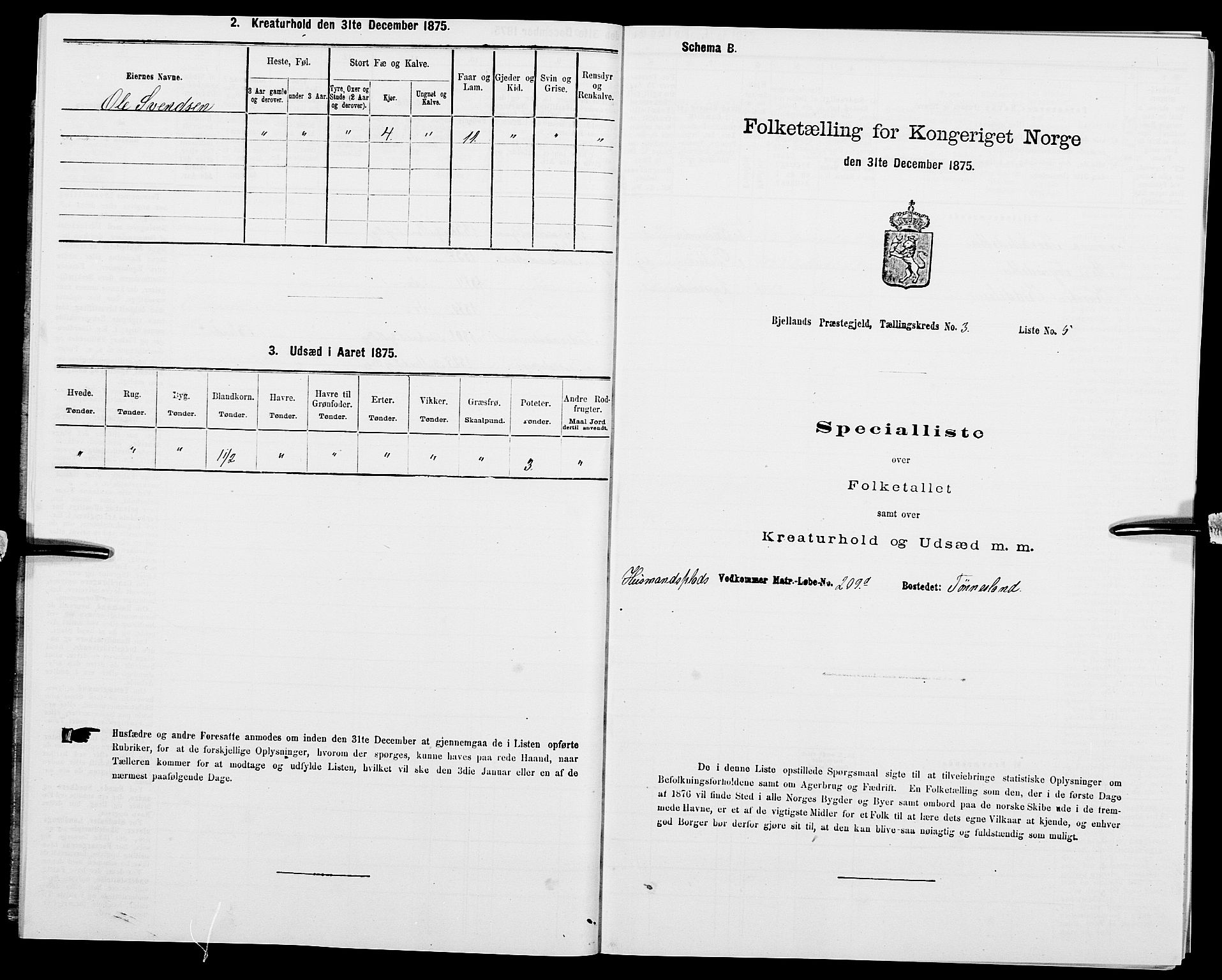 SAK, Folketelling 1875 for 1024P Bjelland prestegjeld, 1875, s. 274