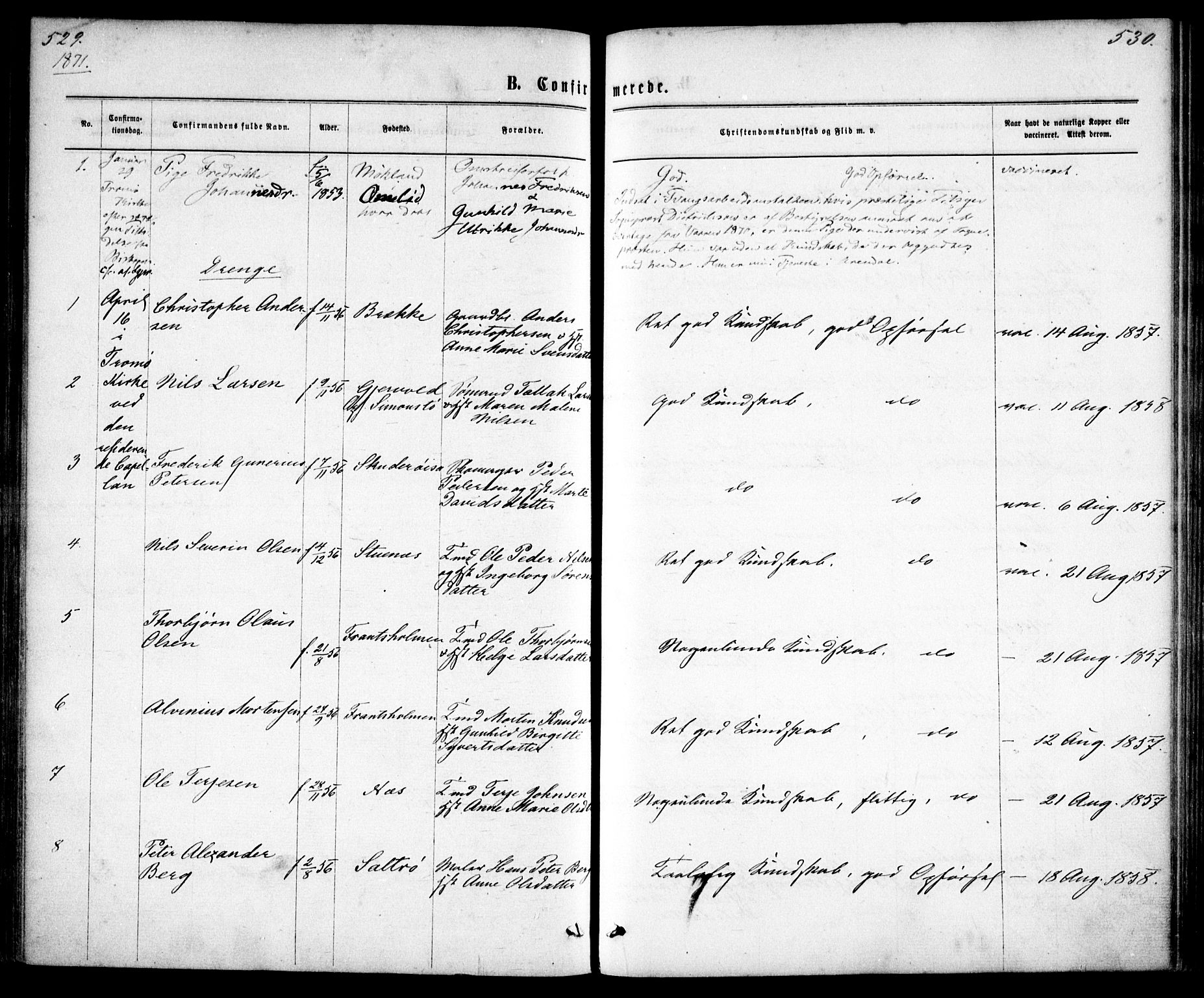 Tromøy sokneprestkontor, SAK/1111-0041/F/Fa/L0008: Ministerialbok nr. A 8, 1870-1877, s. 529-530