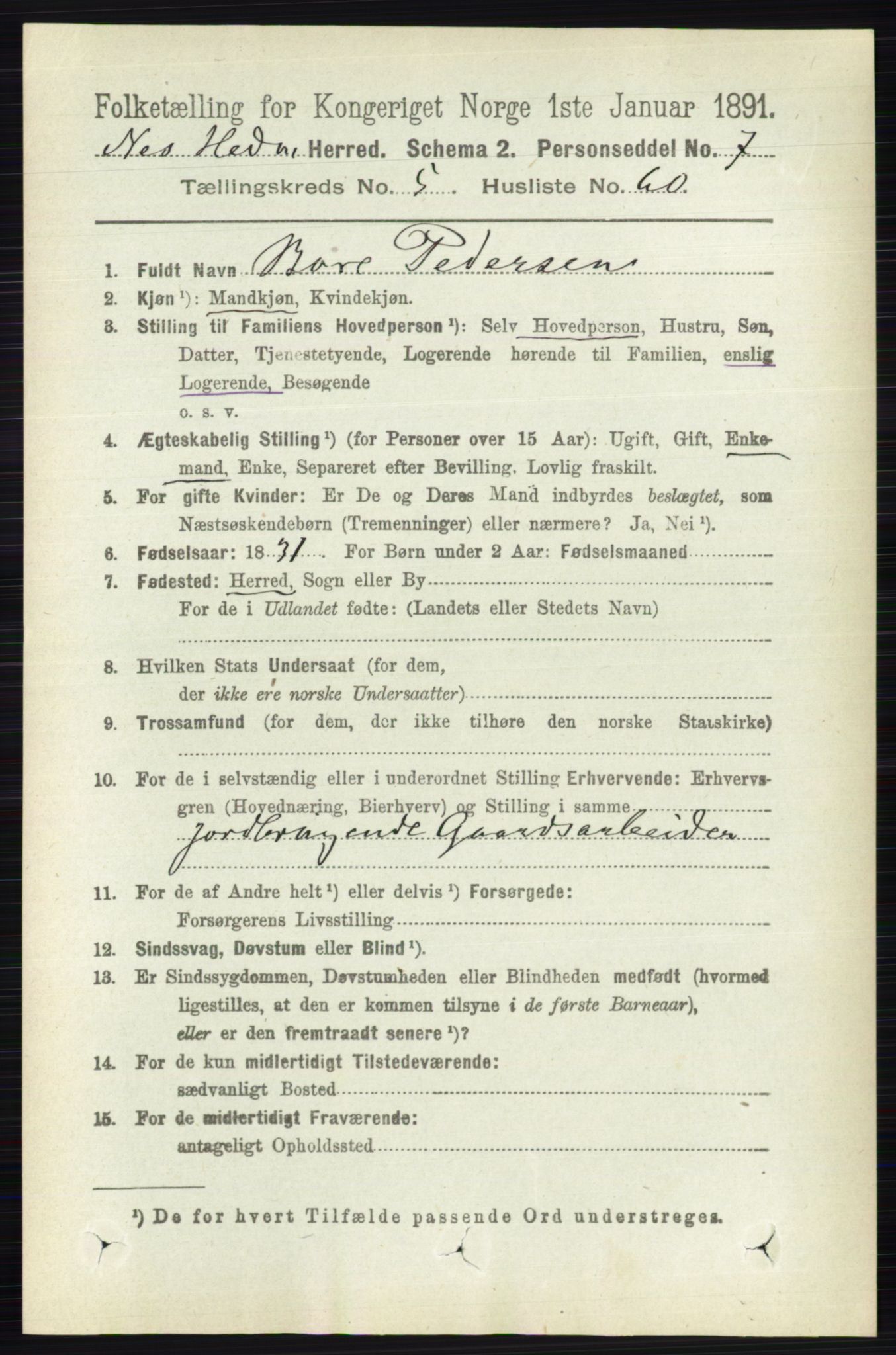 RA, Folketelling 1891 for 0411 Nes herred, 1891, s. 2996