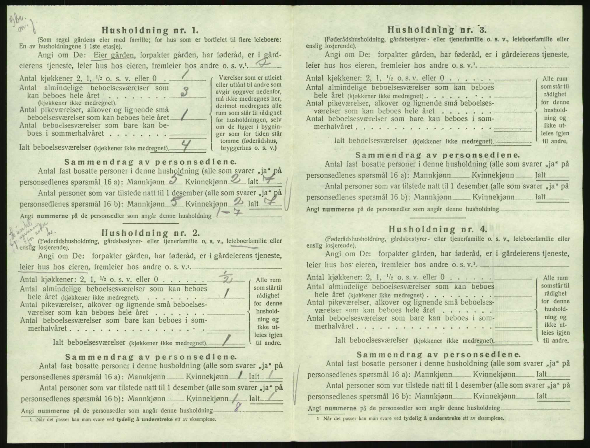 SAK, Folketelling 1920 for 0936 Hornnes herred, 1920, s. 524