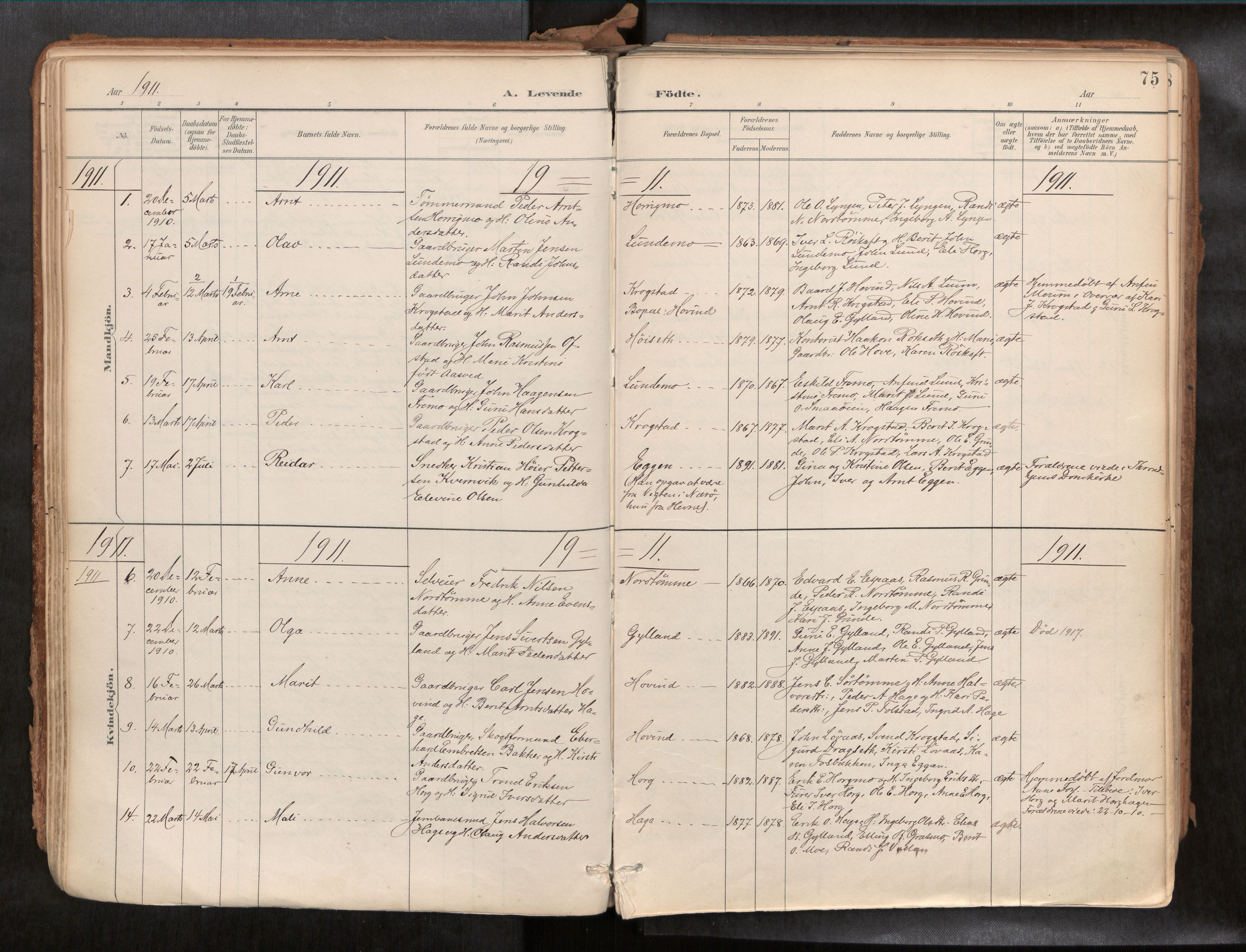 Ministerialprotokoller, klokkerbøker og fødselsregistre - Sør-Trøndelag, SAT/A-1456/692/L1105b: Ministerialbok nr. 692A06, 1891-1934, s. 75