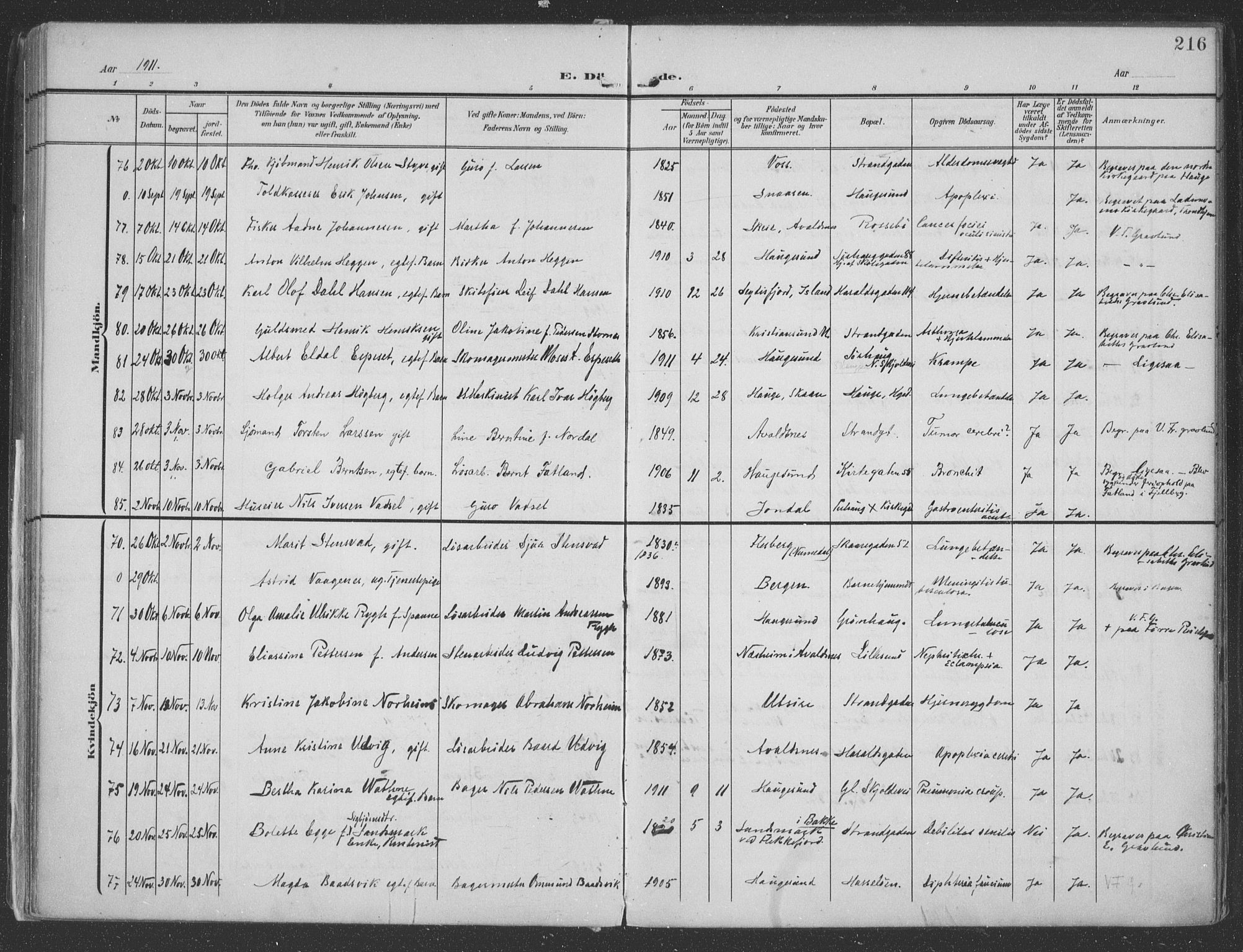 Haugesund sokneprestkontor, AV/SAST-A -101863/H/Ha/Haa/L0007: Ministerialbok nr. A 7, 1904-1916, s. 216