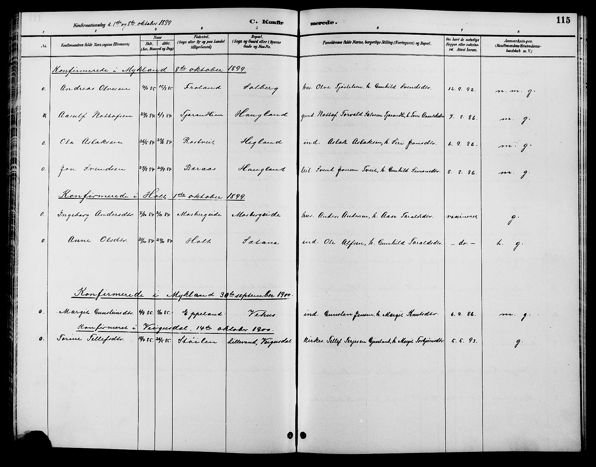 Åmli sokneprestkontor, SAK/1111-0050/F/Fb/Fbc/L0004: Klokkerbok nr. B 4, 1889-1902, s. 115