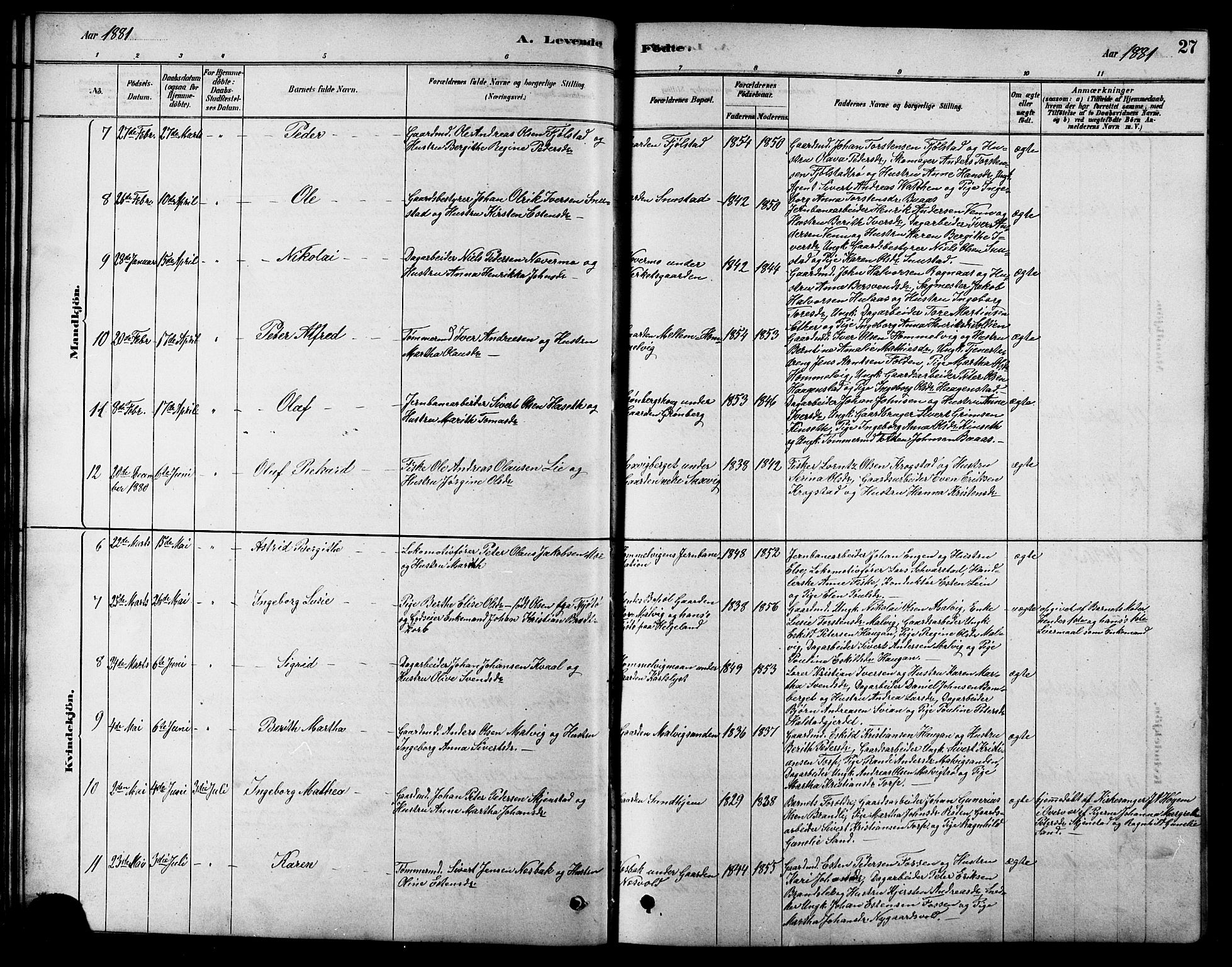 Ministerialprotokoller, klokkerbøker og fødselsregistre - Sør-Trøndelag, SAT/A-1456/616/L0423: Klokkerbok nr. 616C06, 1878-1903, s. 27
