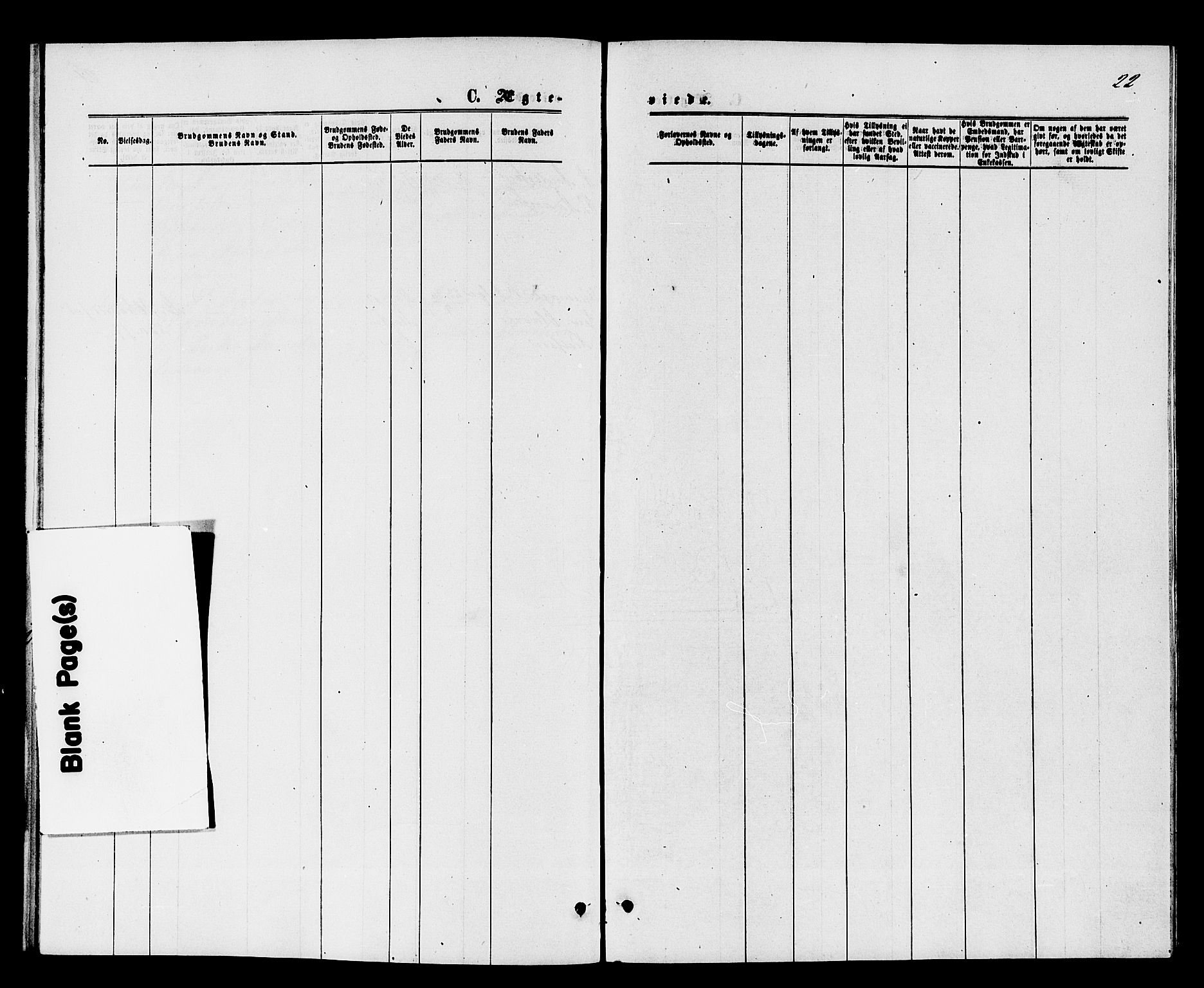 Strømm kirkebøker, AV/SAKO-A-322/F/Fa/L0003: Ministerialbok nr. I 3, 1870-1877, s. 22