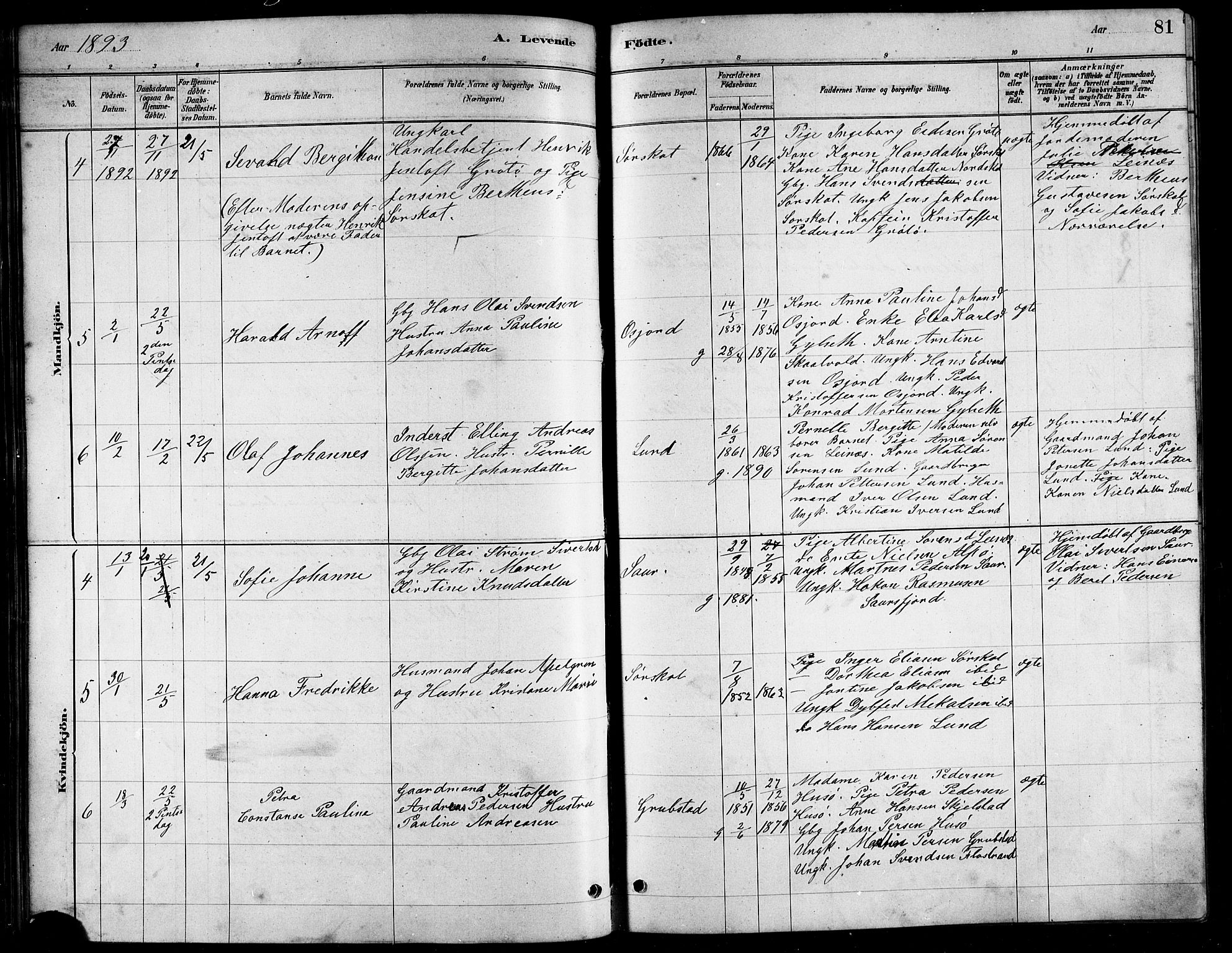 Ministerialprotokoller, klokkerbøker og fødselsregistre - Nordland, AV/SAT-A-1459/857/L0828: Klokkerbok nr. 857C03, 1879-1908, s. 81