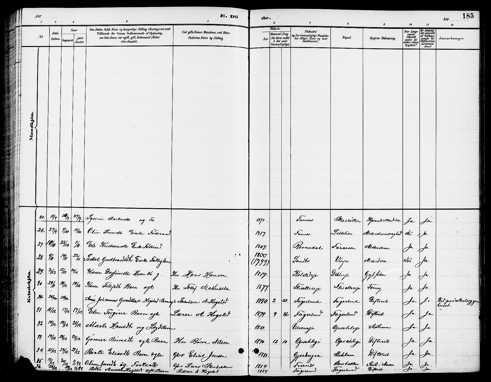 Ringsaker prestekontor, AV/SAH-PREST-014/L/La/L0014: Klokkerbok nr. 14, 1891-1904, s. 185