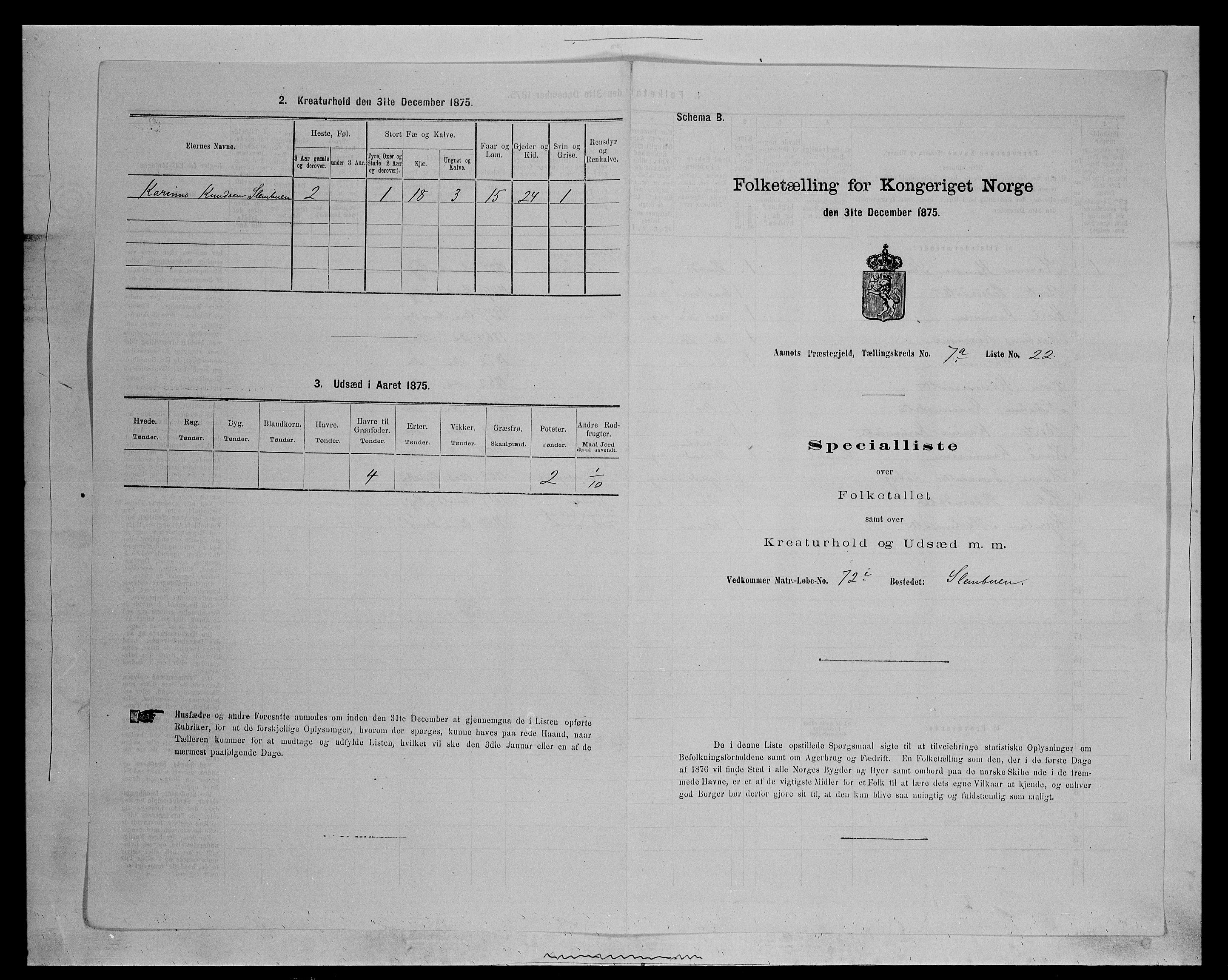 SAH, Folketelling 1875 for 0429P Åmot prestegjeld, 1875, s. 1048