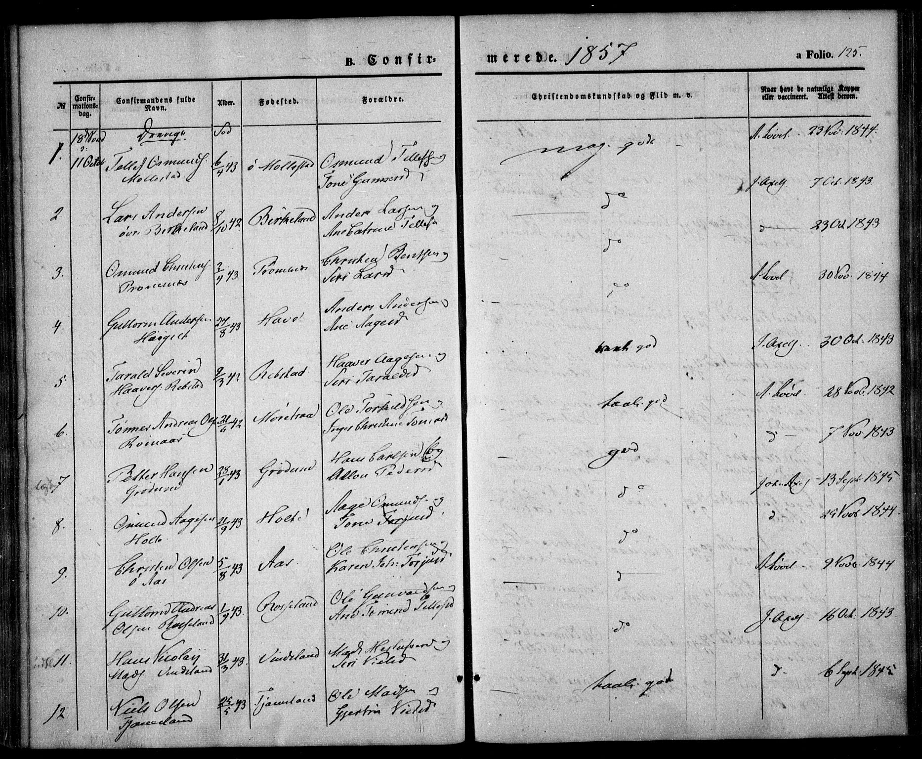 Birkenes sokneprestkontor, SAK/1111-0004/F/Fa/L0003: Ministerialbok nr. A 3, 1850-1866, s. 125