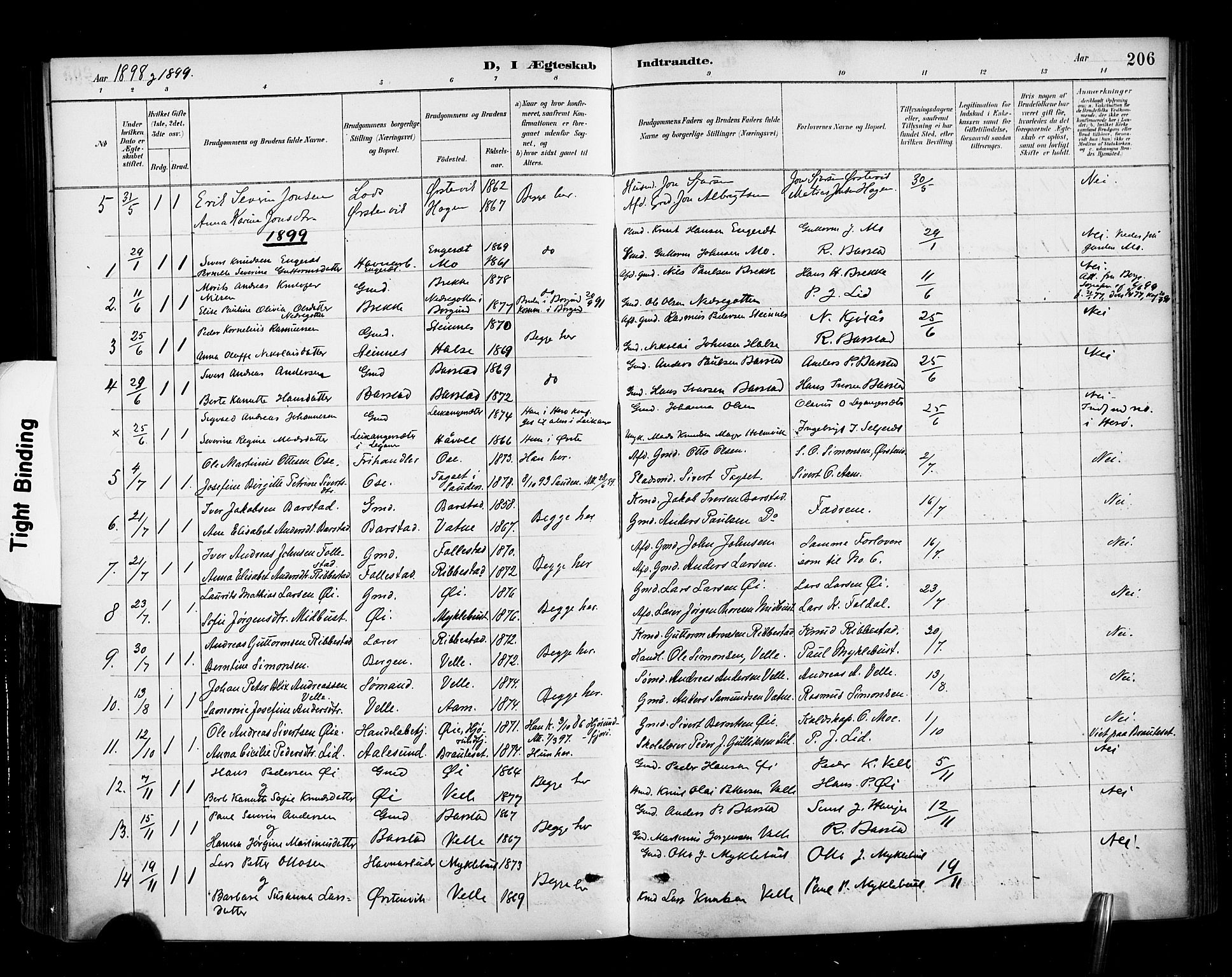 Ministerialprotokoller, klokkerbøker og fødselsregistre - Møre og Romsdal, AV/SAT-A-1454/513/L0177: Ministerialbok nr. 513A04, 1890-1906, s. 206