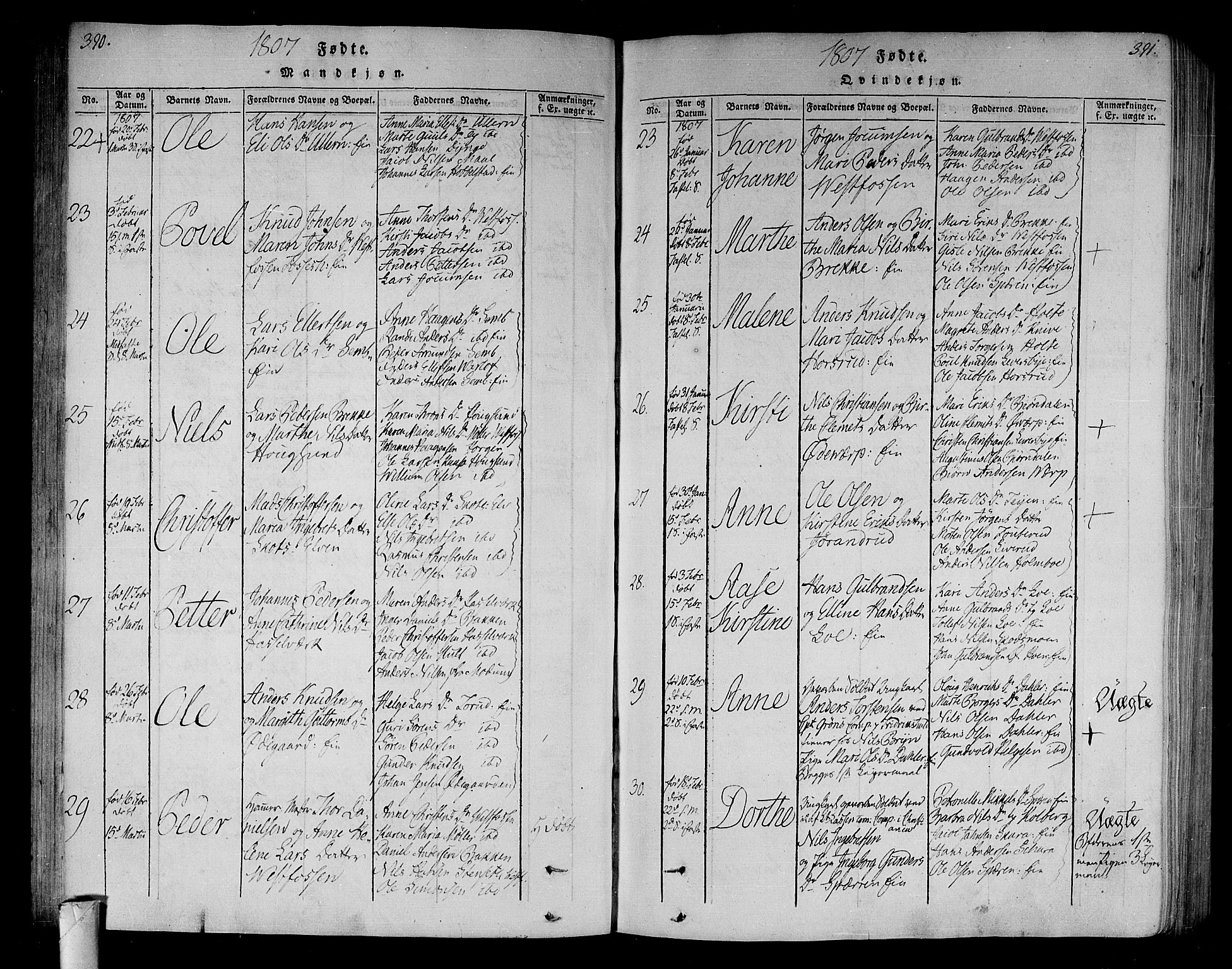 Eiker kirkebøker, AV/SAKO-A-4/F/Fa/L0010: Ministerialbok nr. I 10, 1806-1815, s. 390-391