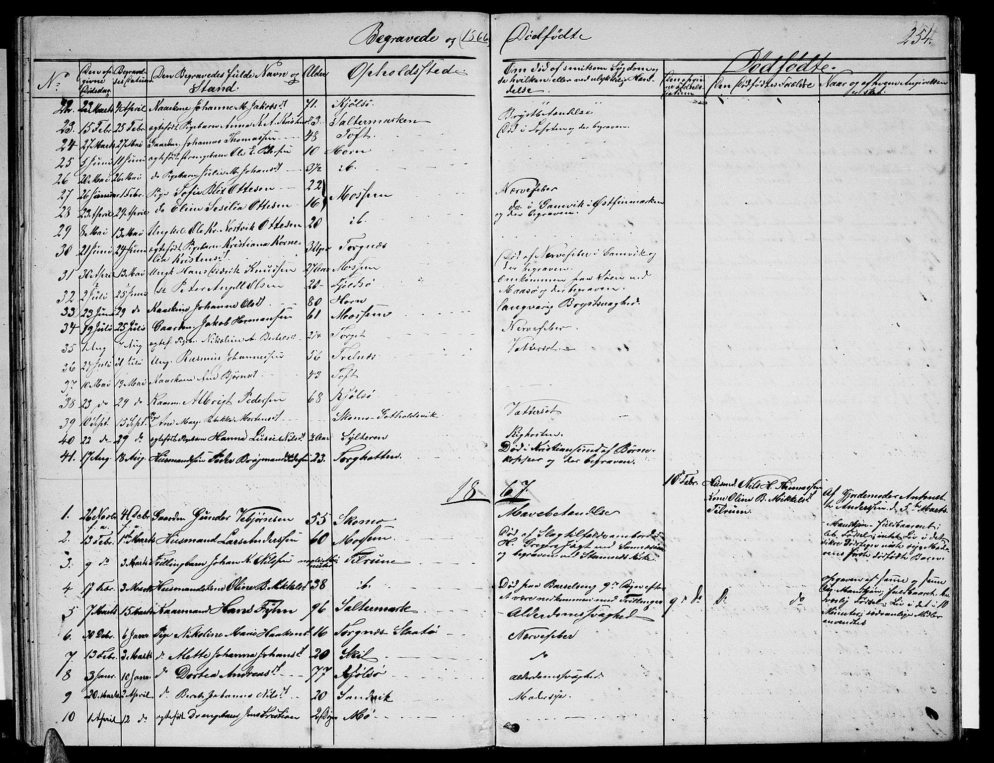 Ministerialprotokoller, klokkerbøker og fødselsregistre - Nordland, SAT/A-1459/813/L0212: Klokkerbok nr. 813C04, 1864-1886, s. 254