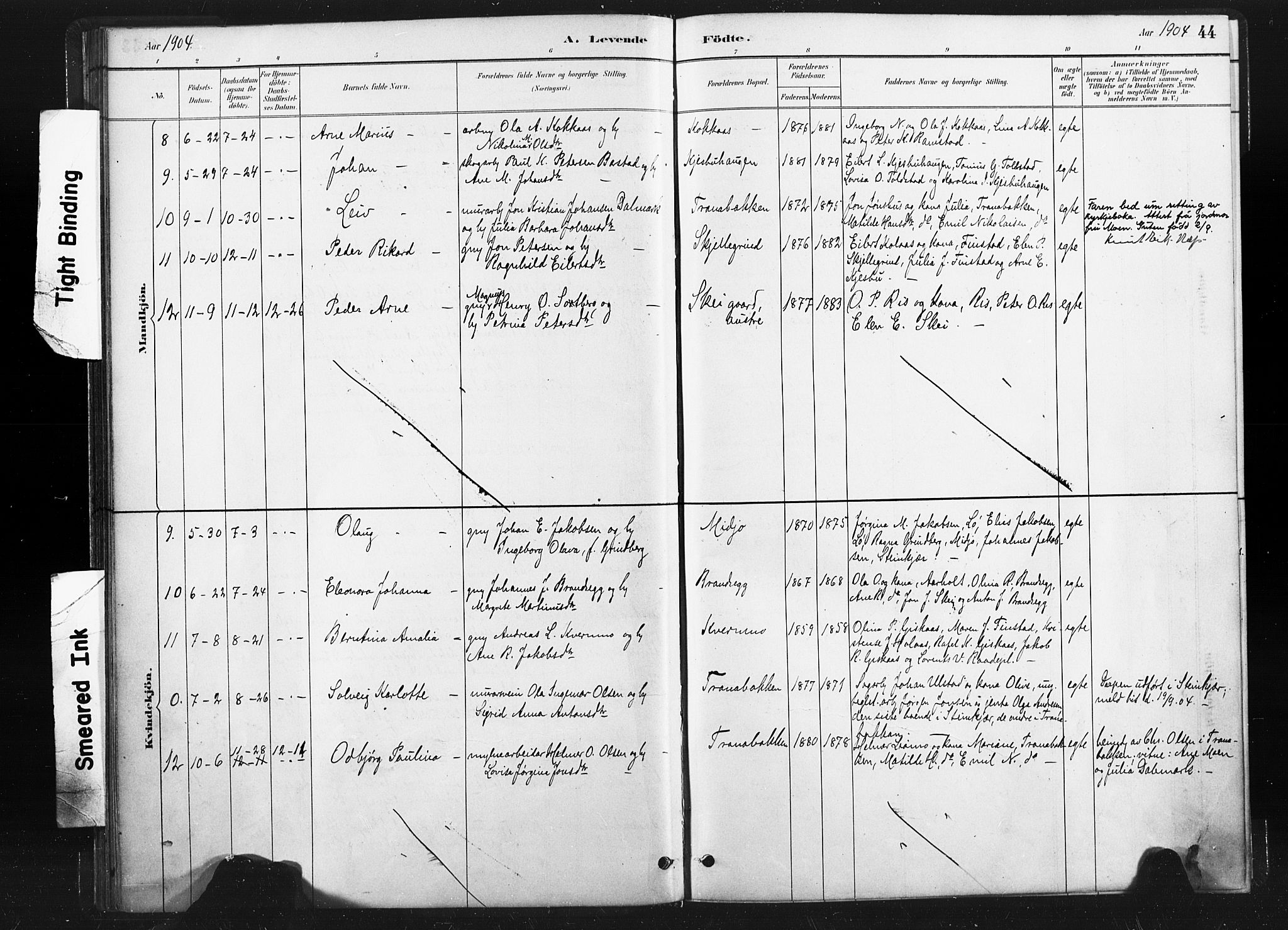 Ministerialprotokoller, klokkerbøker og fødselsregistre - Nord-Trøndelag, SAT/A-1458/736/L0361: Ministerialbok nr. 736A01, 1884-1906, s. 44
