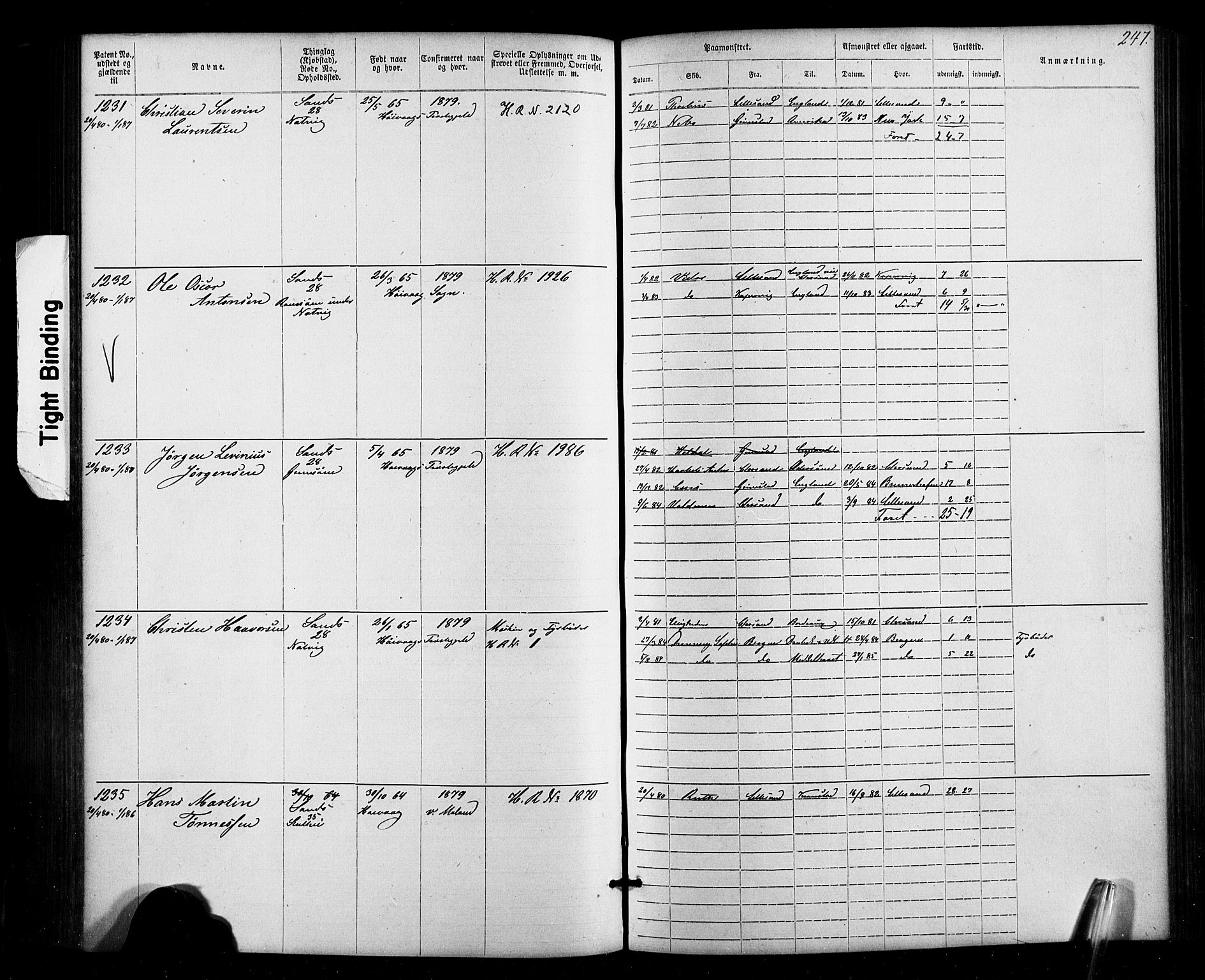 Lillesand mønstringskrets, SAK/2031-0014/F/Fa/L0002: Annotasjonsrulle nr 1-1910 med register, W-8, 1868-1891, s. 253