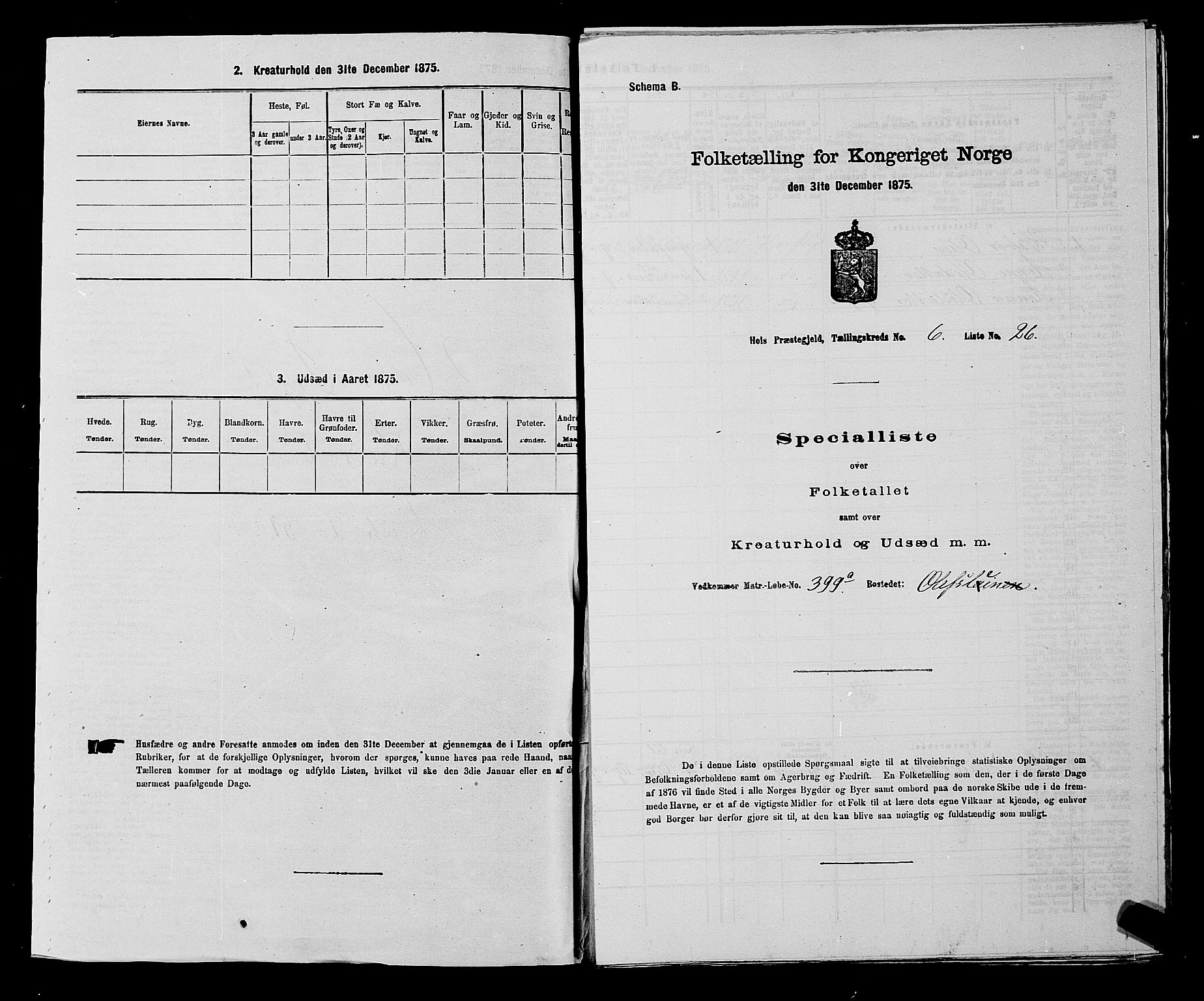 SAKO, Folketelling 1875 for 0620P Hol prestegjeld, 1875, s. 716