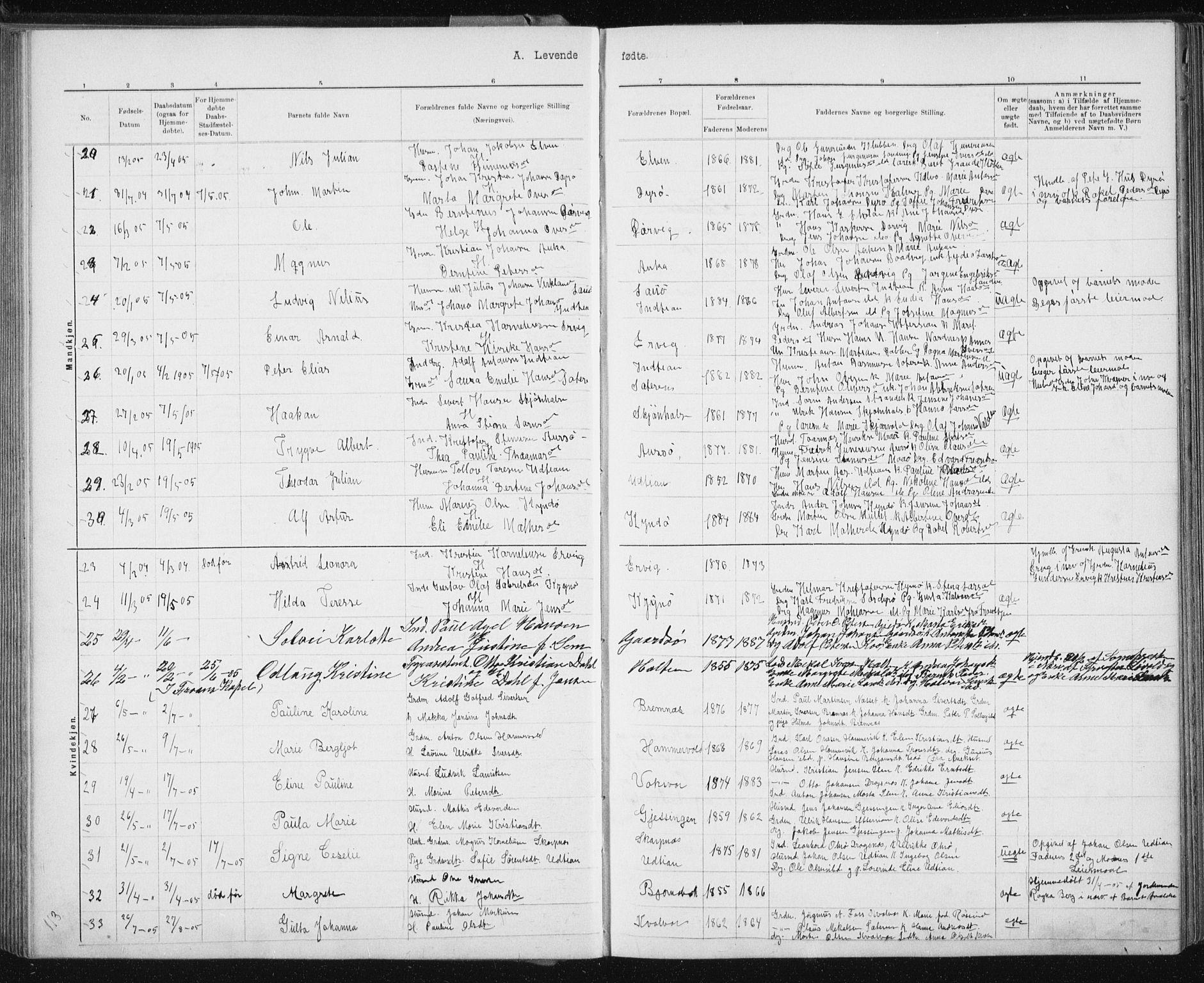 Ministerialprotokoller, klokkerbøker og fødselsregistre - Sør-Trøndelag, AV/SAT-A-1456/640/L0586: Klokkerbok nr. 640C03b, 1891-1908