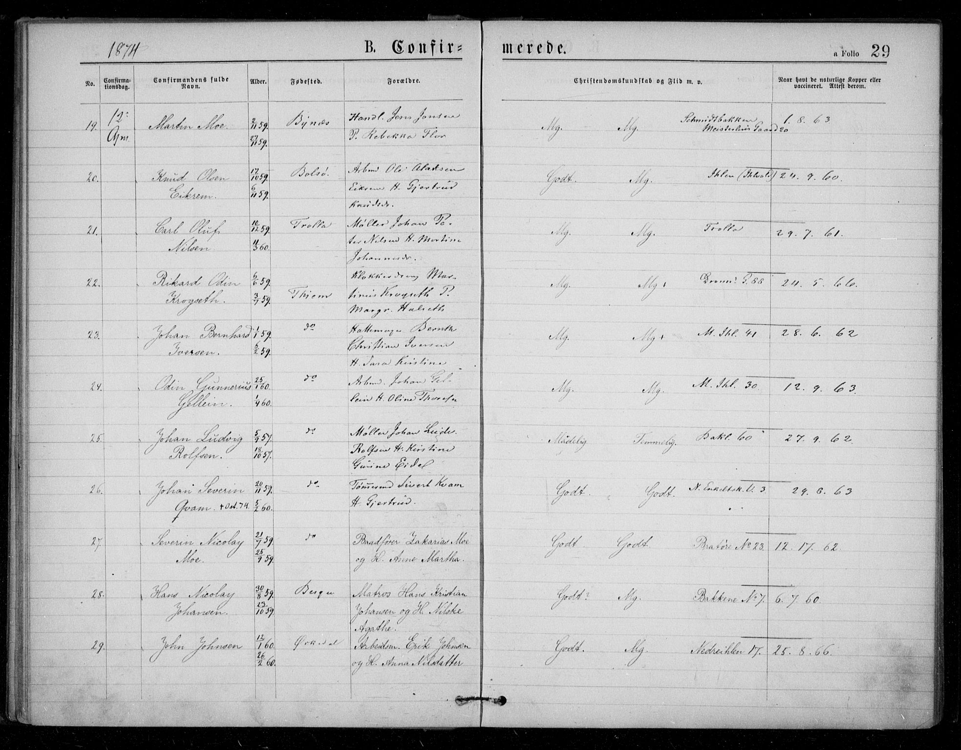 Ministerialprotokoller, klokkerbøker og fødselsregistre - Sør-Trøndelag, AV/SAT-A-1456/602/L0121: Ministerialbok nr. 602A19, 1872-1879, s. 29