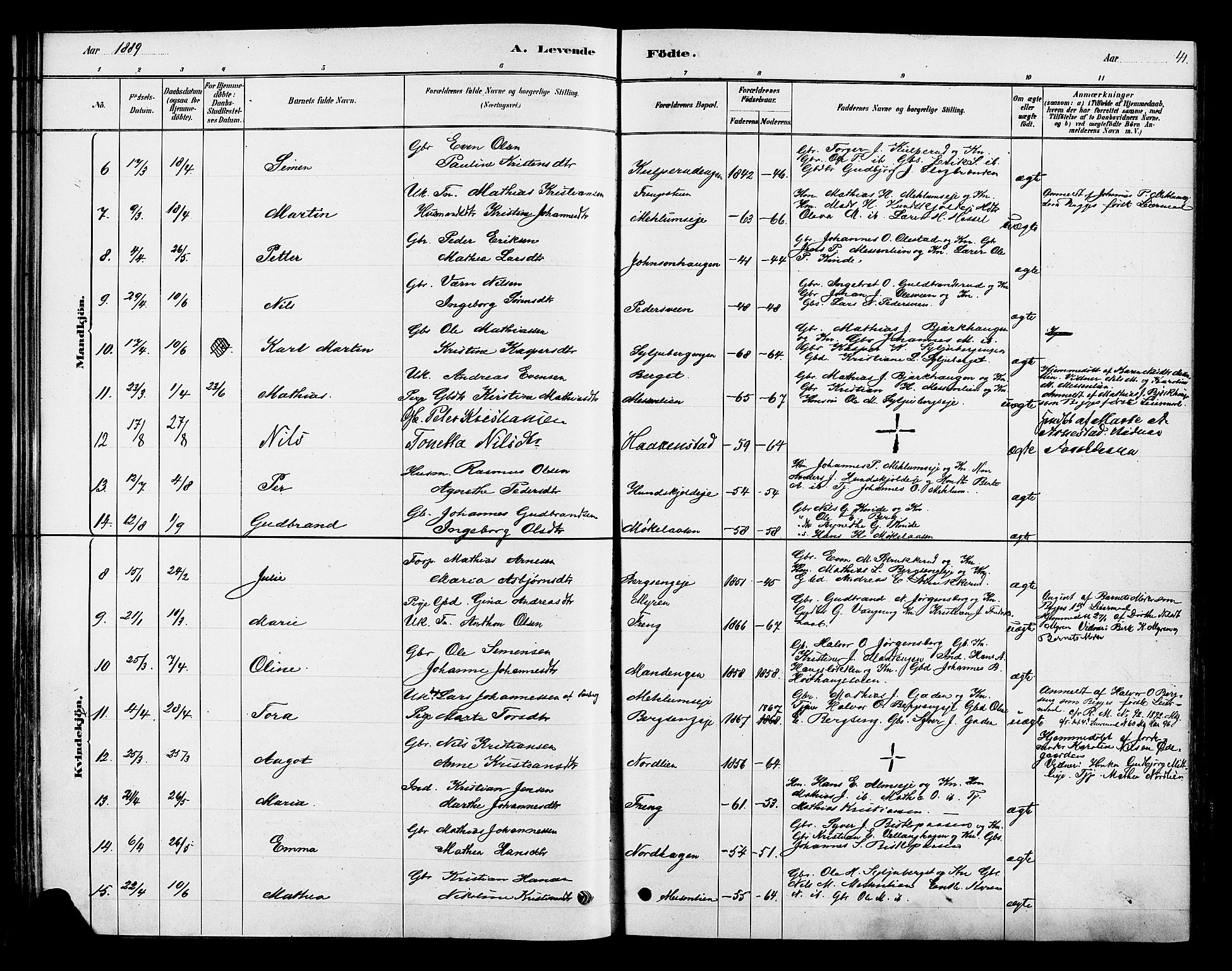 Ringsaker prestekontor, AV/SAH-PREST-014/K/Ka/L0013: Ministerialbok nr. 13, 1879-1890, s. 41