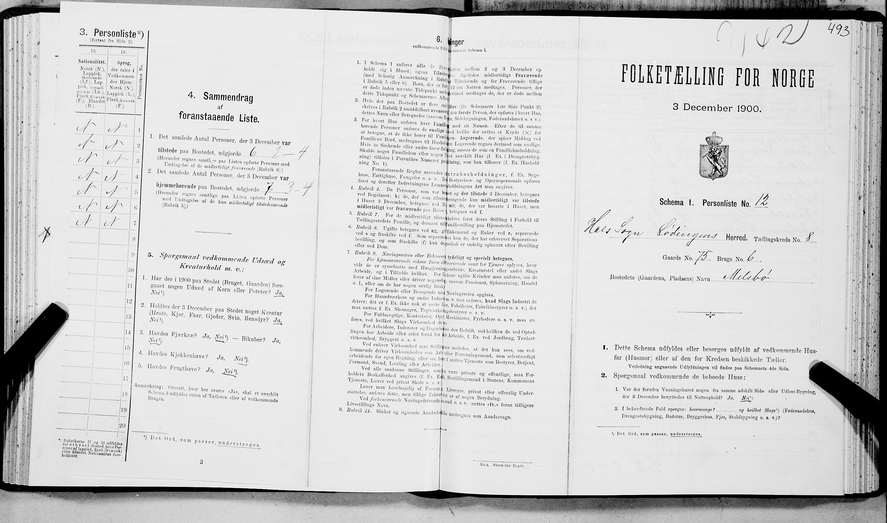 SAT, Folketelling 1900 for 1851 Lødingen herred, 1900, s. 974