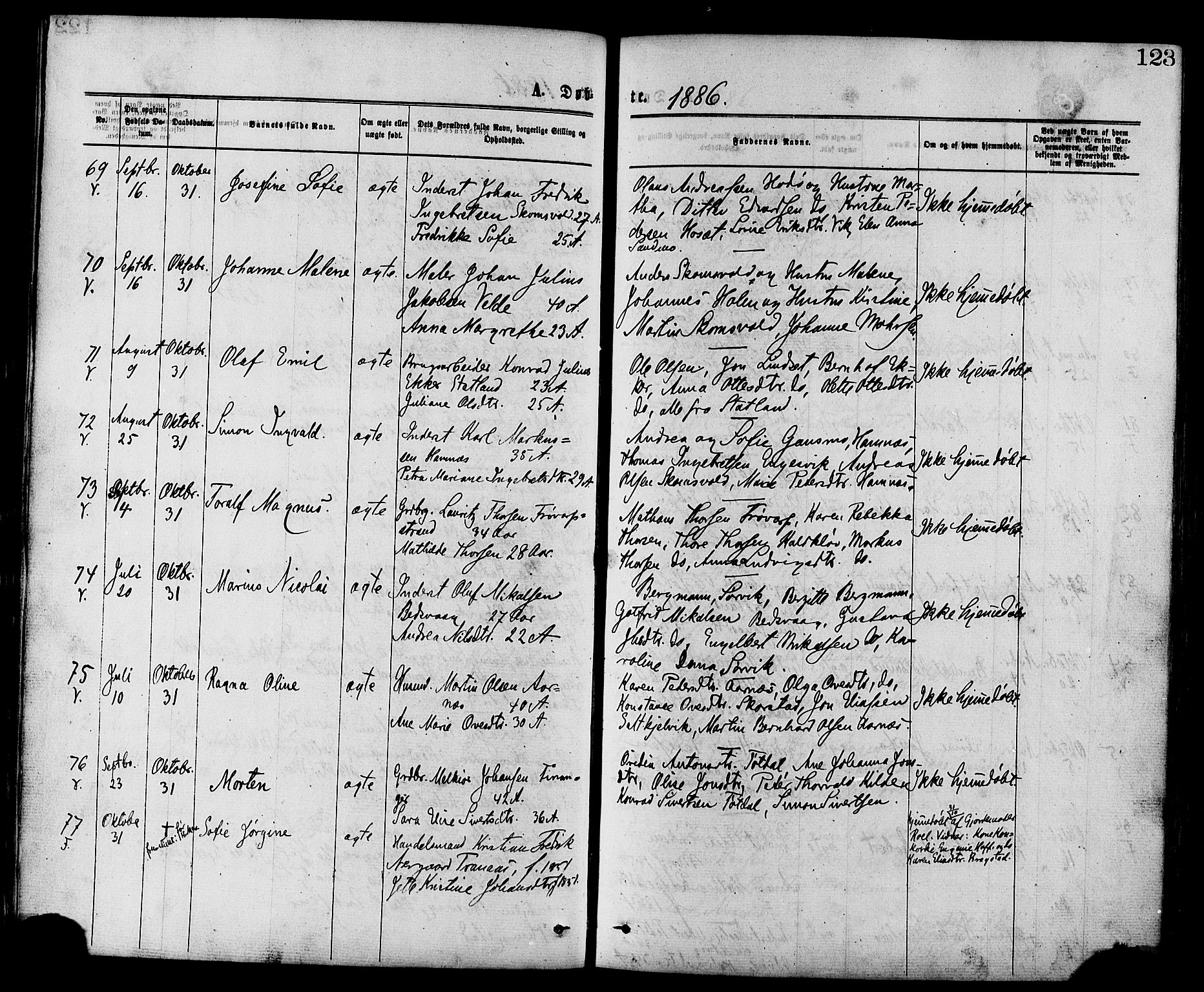 Ministerialprotokoller, klokkerbøker og fødselsregistre - Nord-Trøndelag, AV/SAT-A-1458/773/L0616: Ministerialbok nr. 773A07, 1870-1887, s. 123