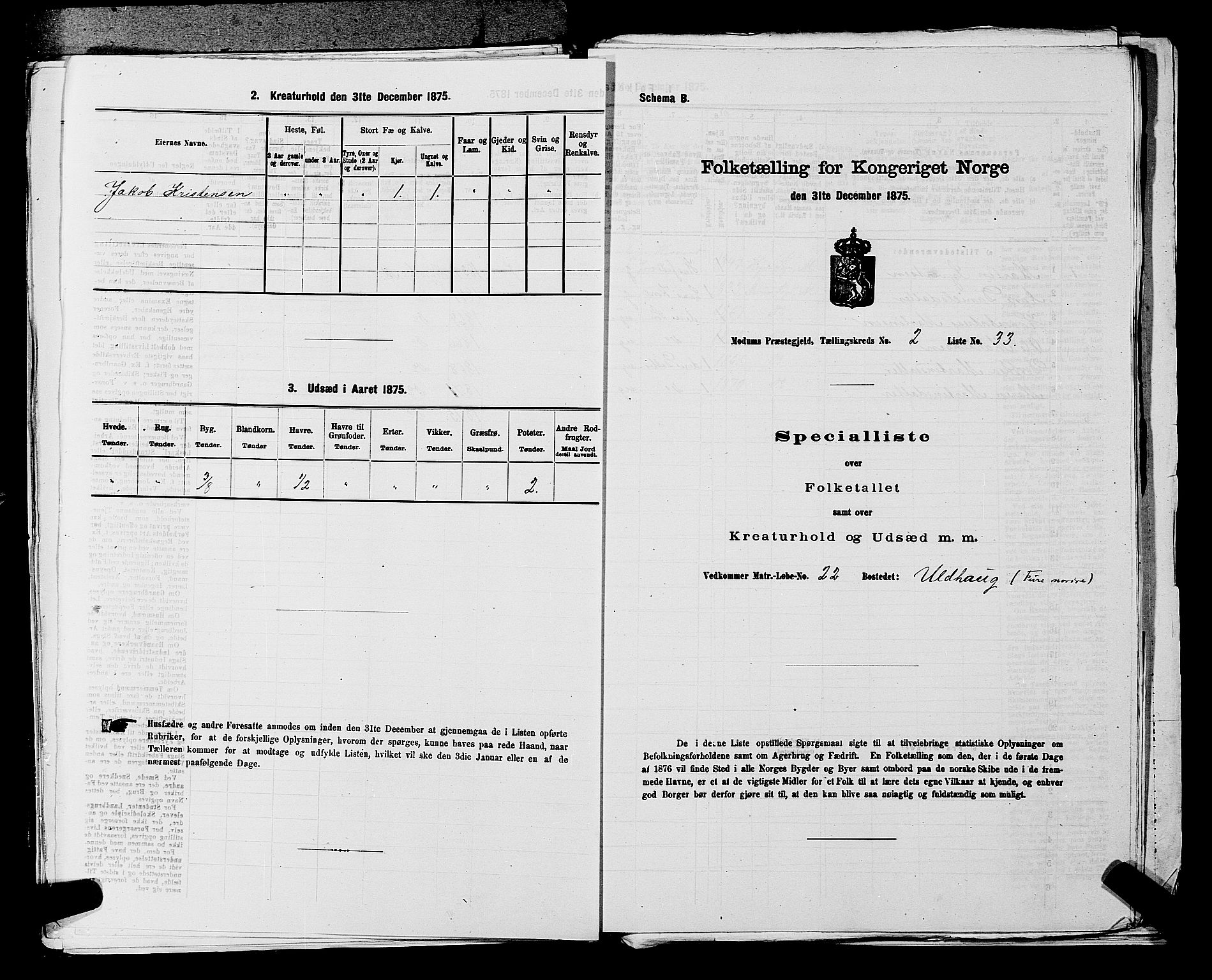 SAKO, Folketelling 1875 for 0623P Modum prestegjeld, 1875, s. 298