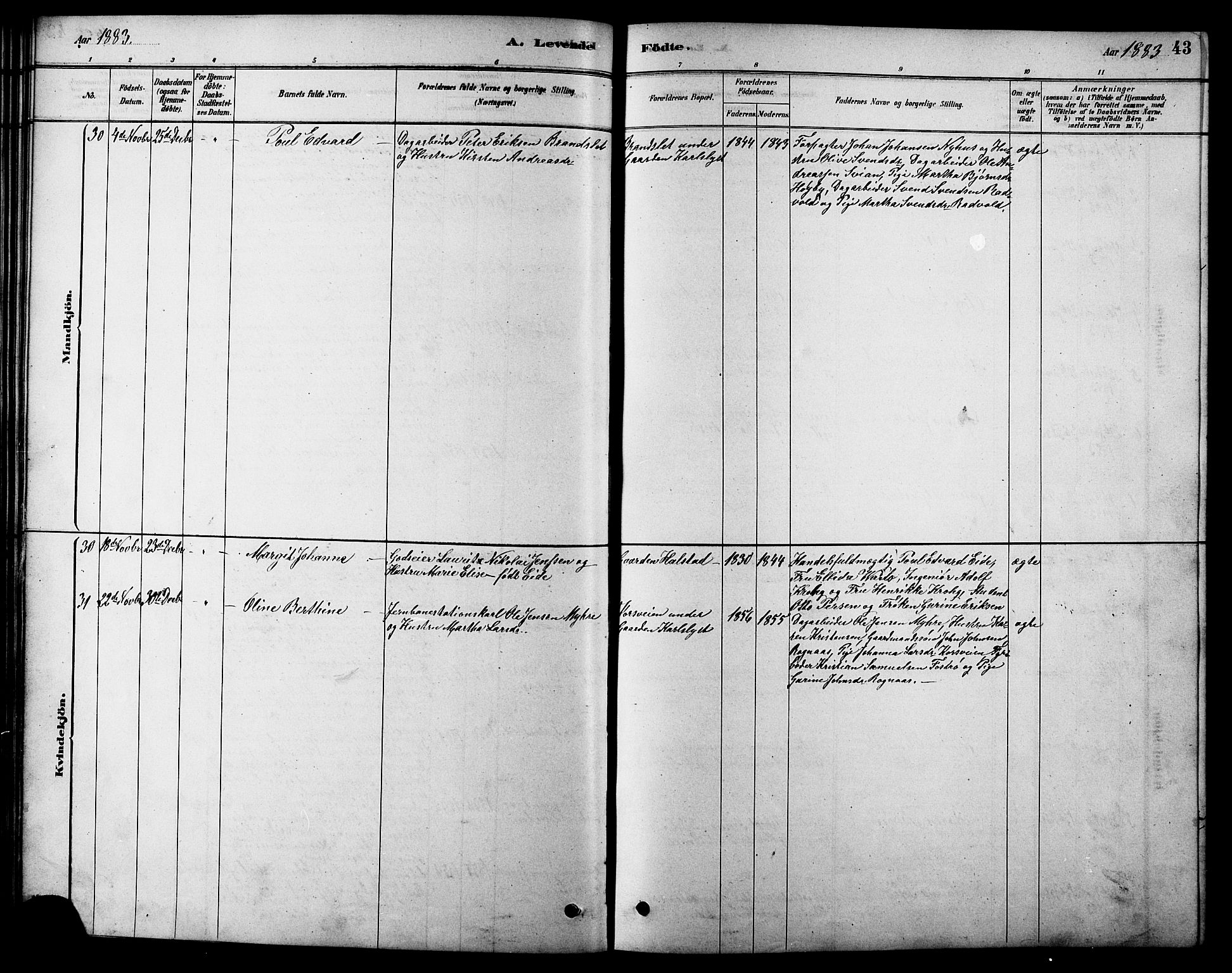 Ministerialprotokoller, klokkerbøker og fødselsregistre - Sør-Trøndelag, SAT/A-1456/616/L0423: Klokkerbok nr. 616C06, 1878-1903, s. 43