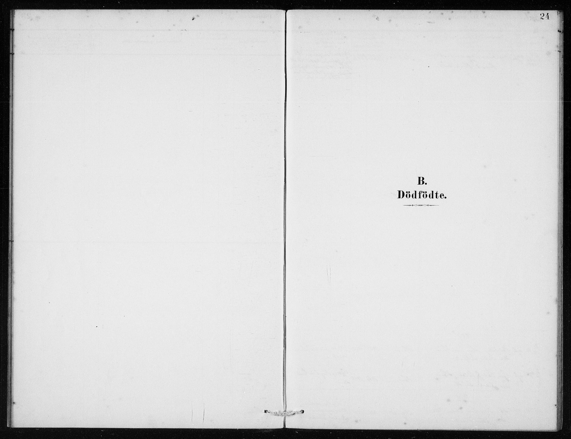 Manger sokneprestembete, SAB/A-76801/H/Haa: Ministerialbok nr. E  1, 1881-1890, s. 24