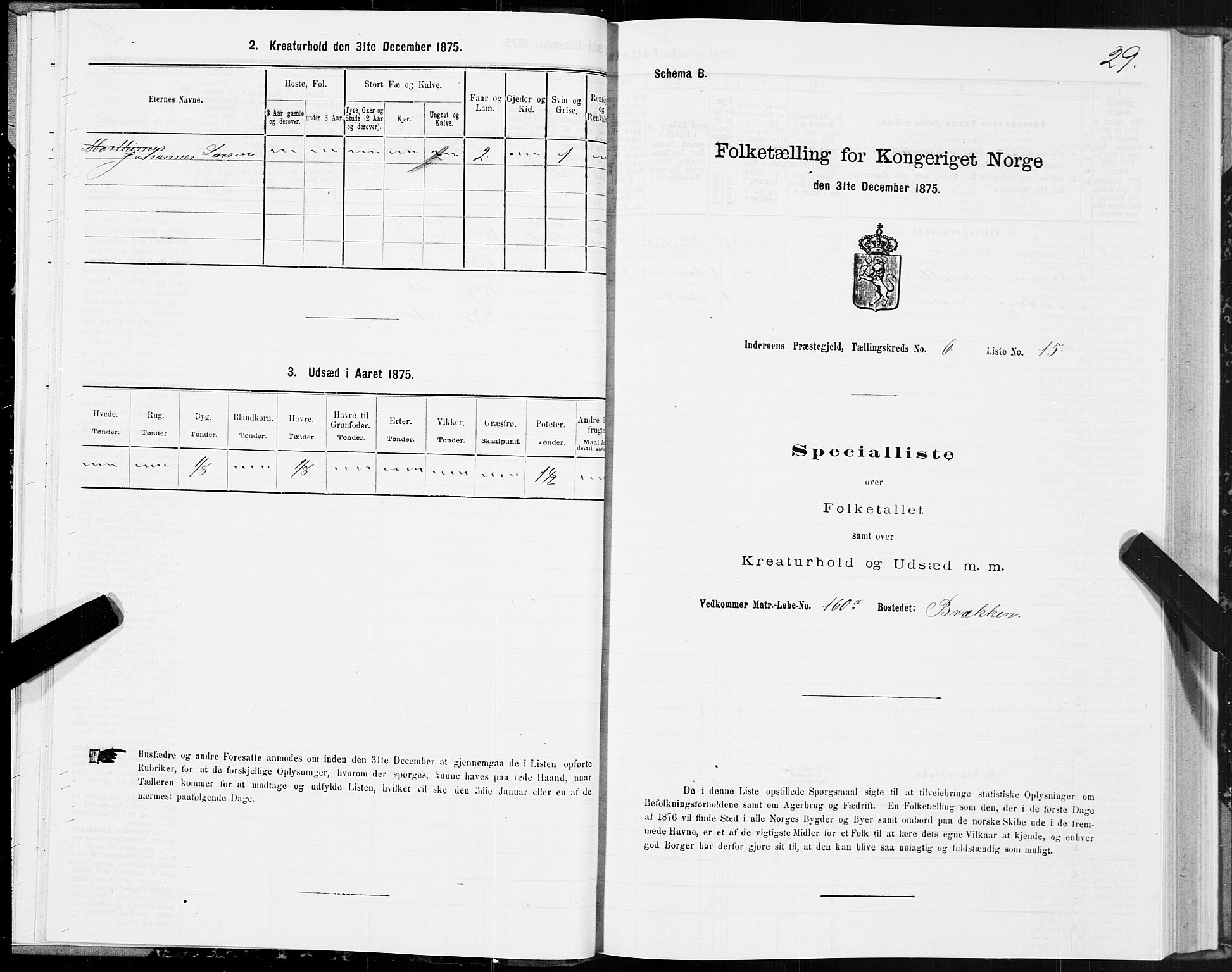 SAT, Folketelling 1875 for 1729P Inderøy prestegjeld, 1875, s. 4029