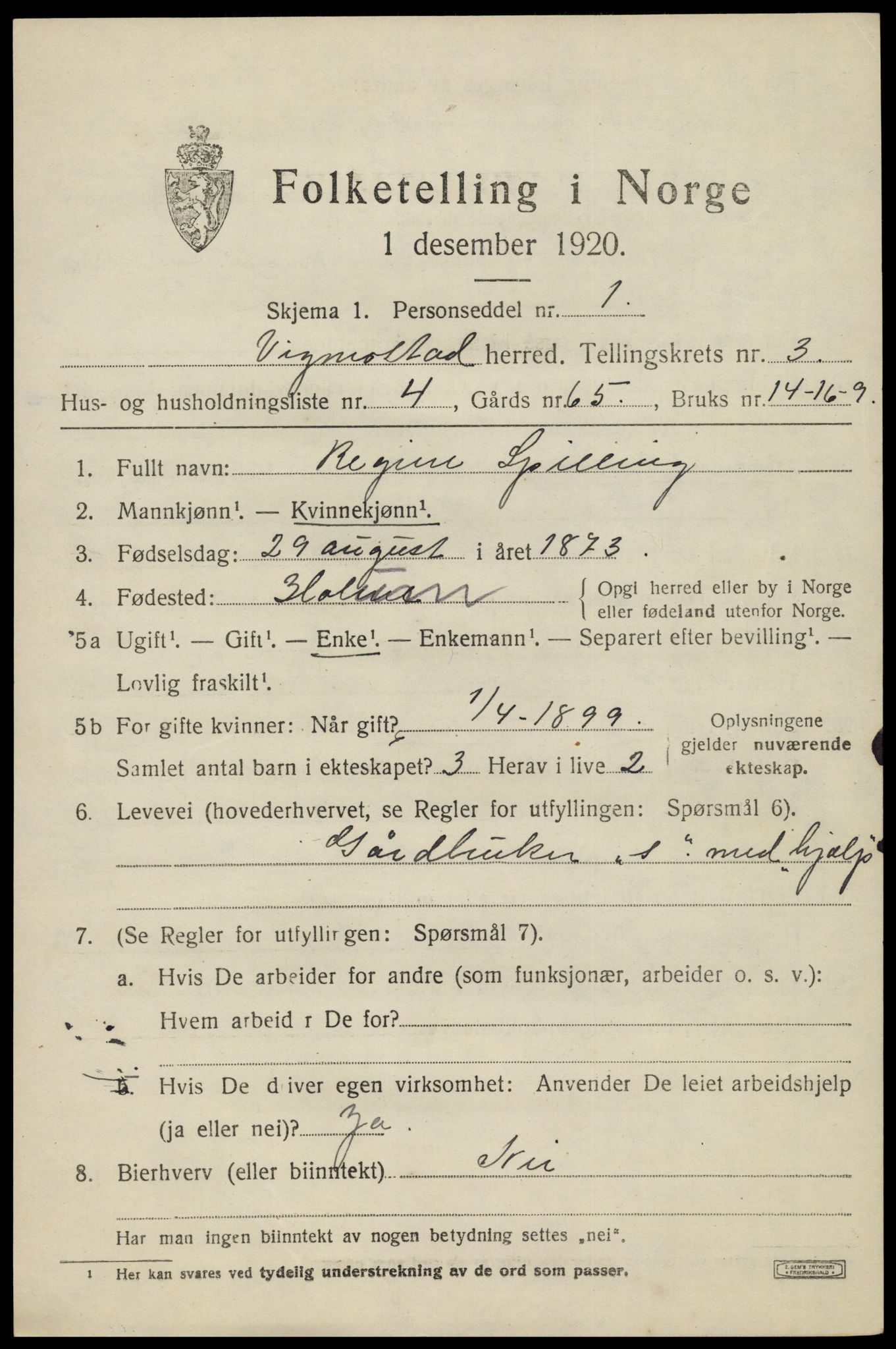 SAK, Folketelling 1920 for 1028 Vigmostad herred, 1920, s. 849
