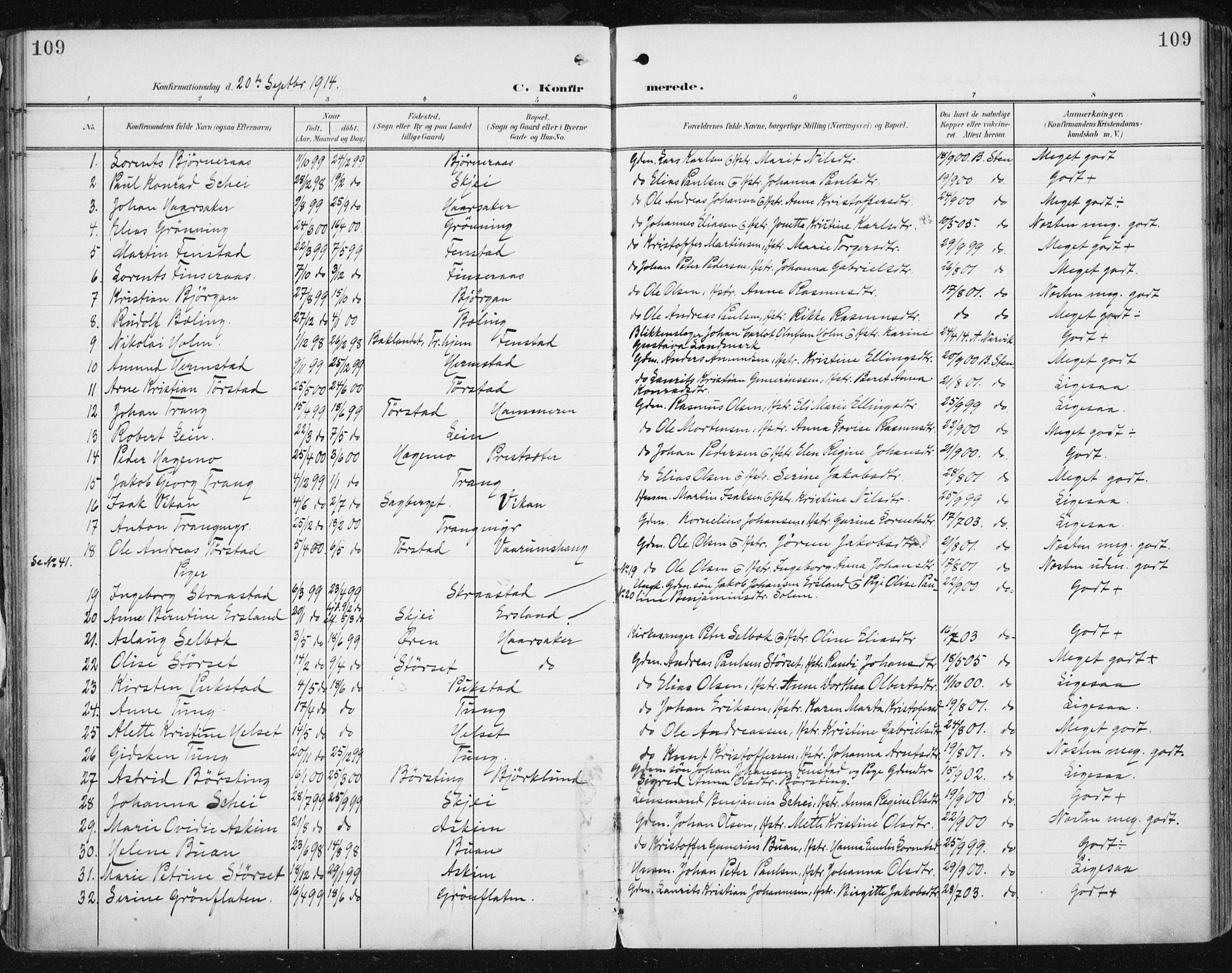 Ministerialprotokoller, klokkerbøker og fødselsregistre - Sør-Trøndelag, AV/SAT-A-1456/646/L0616: Ministerialbok nr. 646A14, 1900-1918, s. 109