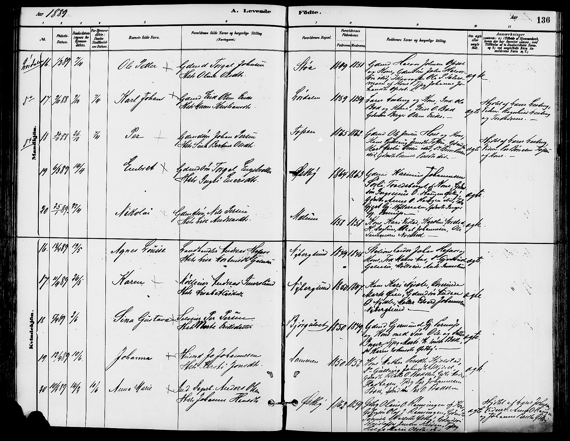 Trysil prestekontor, AV/SAH-PREST-046/H/Ha/Haa/L0008: Ministerialbok nr. 8, 1881-1897, s. 136