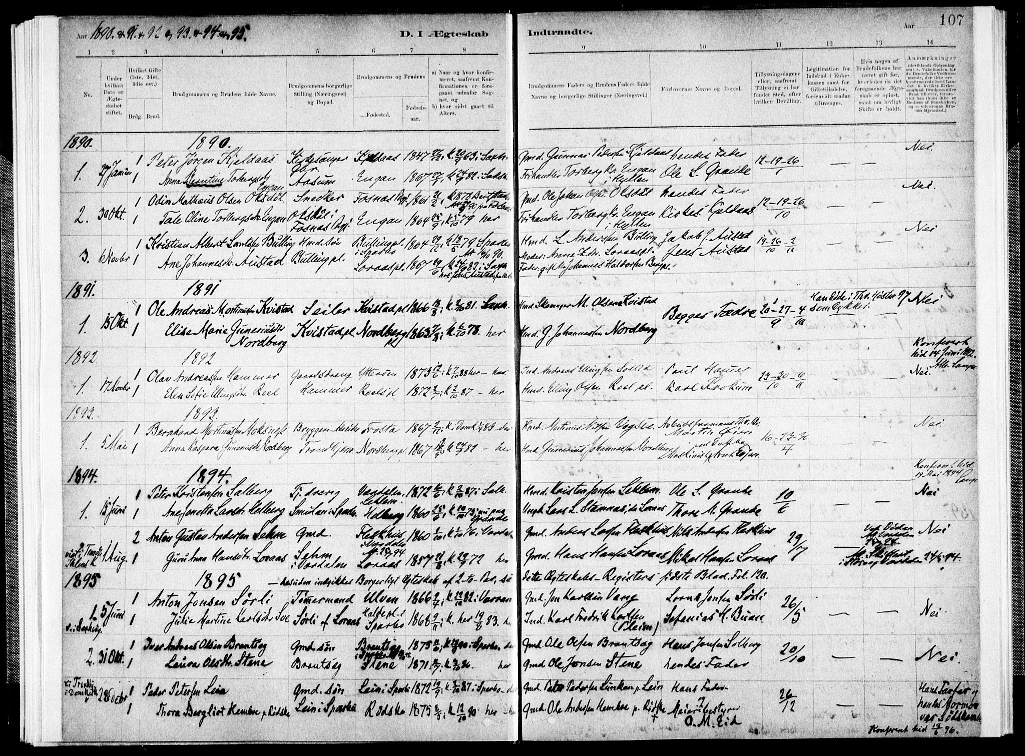 Ministerialprotokoller, klokkerbøker og fødselsregistre - Nord-Trøndelag, AV/SAT-A-1458/731/L0309: Ministerialbok nr. 731A01, 1879-1918, s. 107