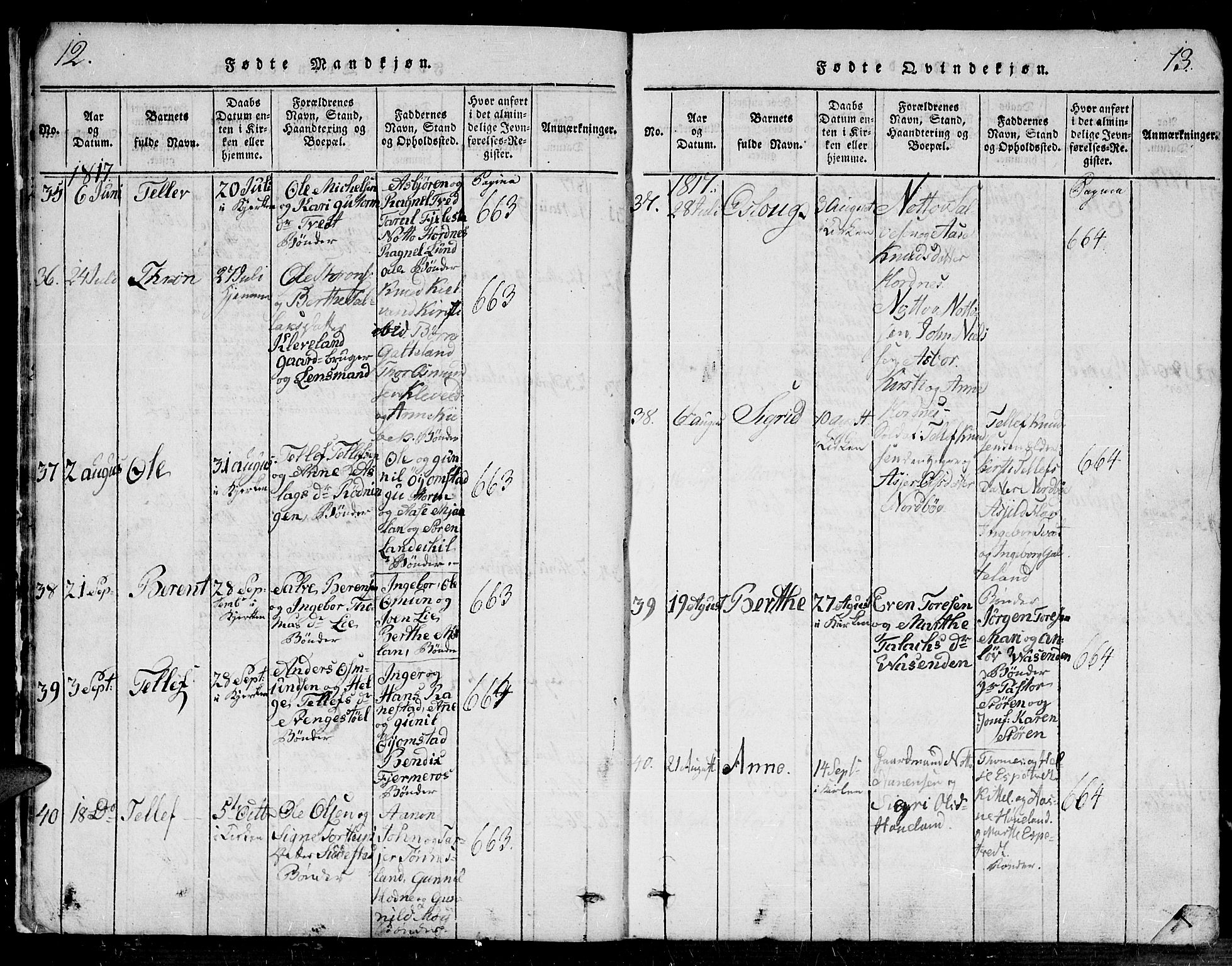 Evje sokneprestkontor, AV/SAK-1111-0008/F/Fa/Faa/L0004: Ministerialbok nr. A 4, 1816-1840, s. 12-13