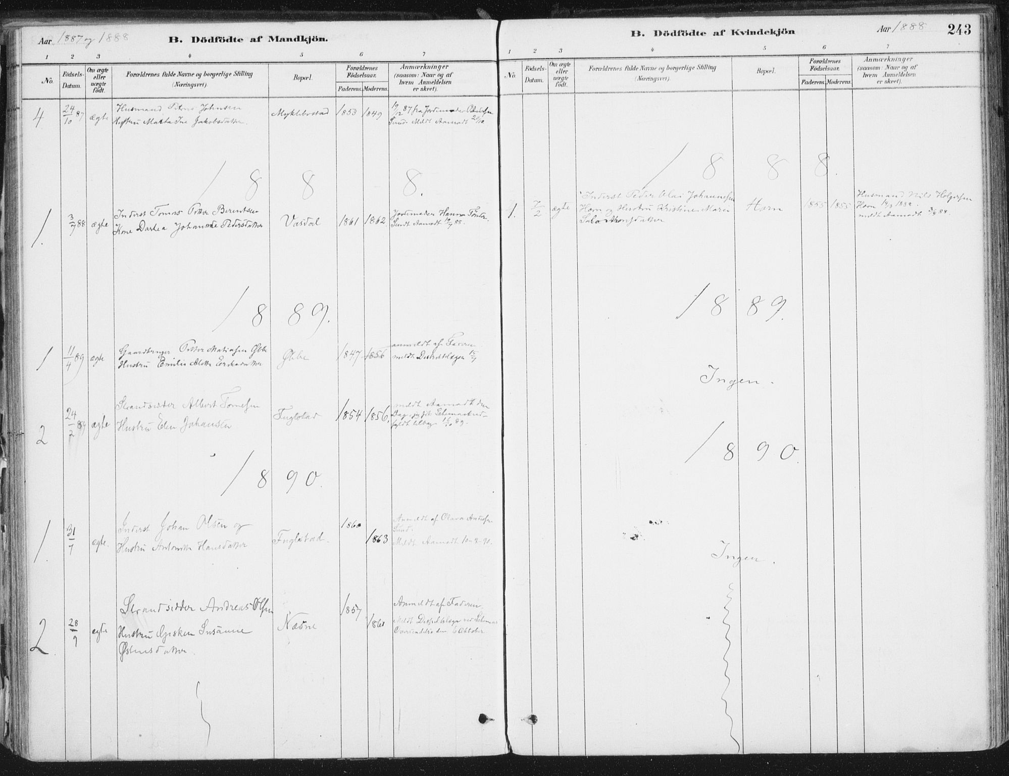 Ministerialprotokoller, klokkerbøker og fødselsregistre - Nordland, SAT/A-1459/838/L0552: Ministerialbok nr. 838A10, 1880-1910, s. 243