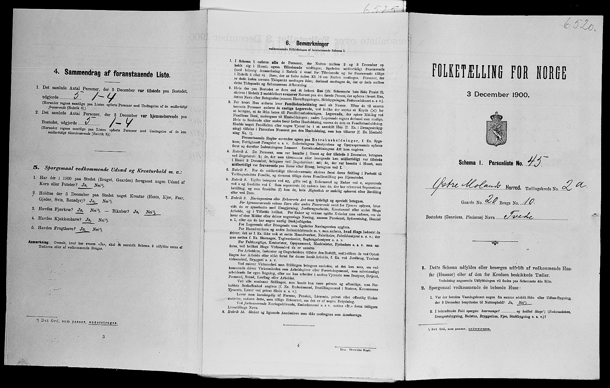SAK, Folketelling 1900 for 0918 Austre Moland herred, 1900, s. 294