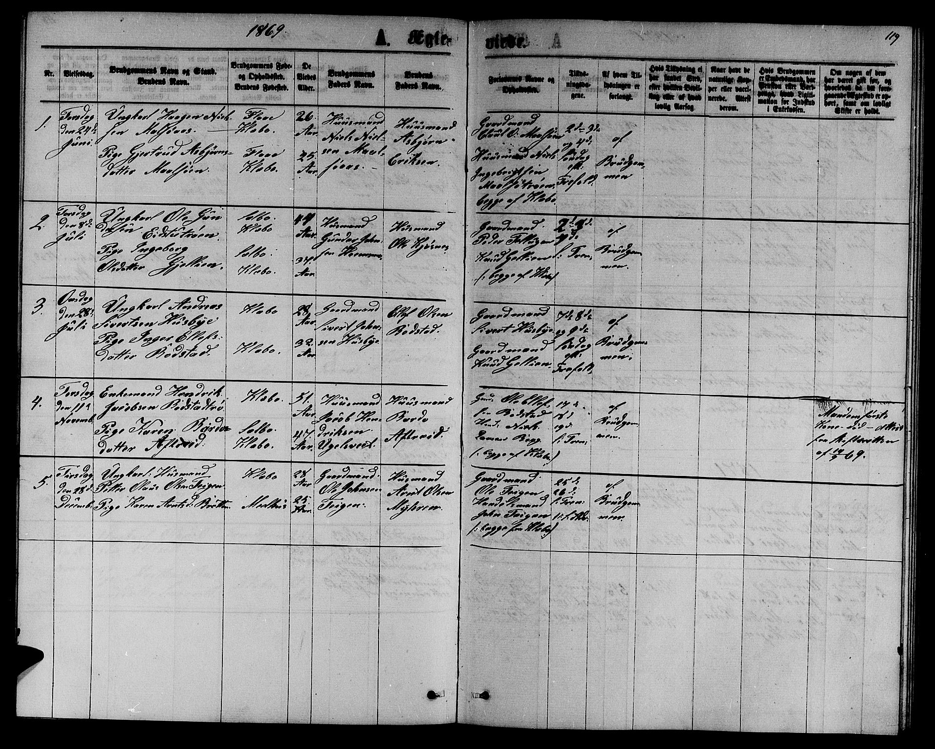 Ministerialprotokoller, klokkerbøker og fødselsregistre - Sør-Trøndelag, AV/SAT-A-1456/618/L0451: Klokkerbok nr. 618C02, 1865-1883, s. 119