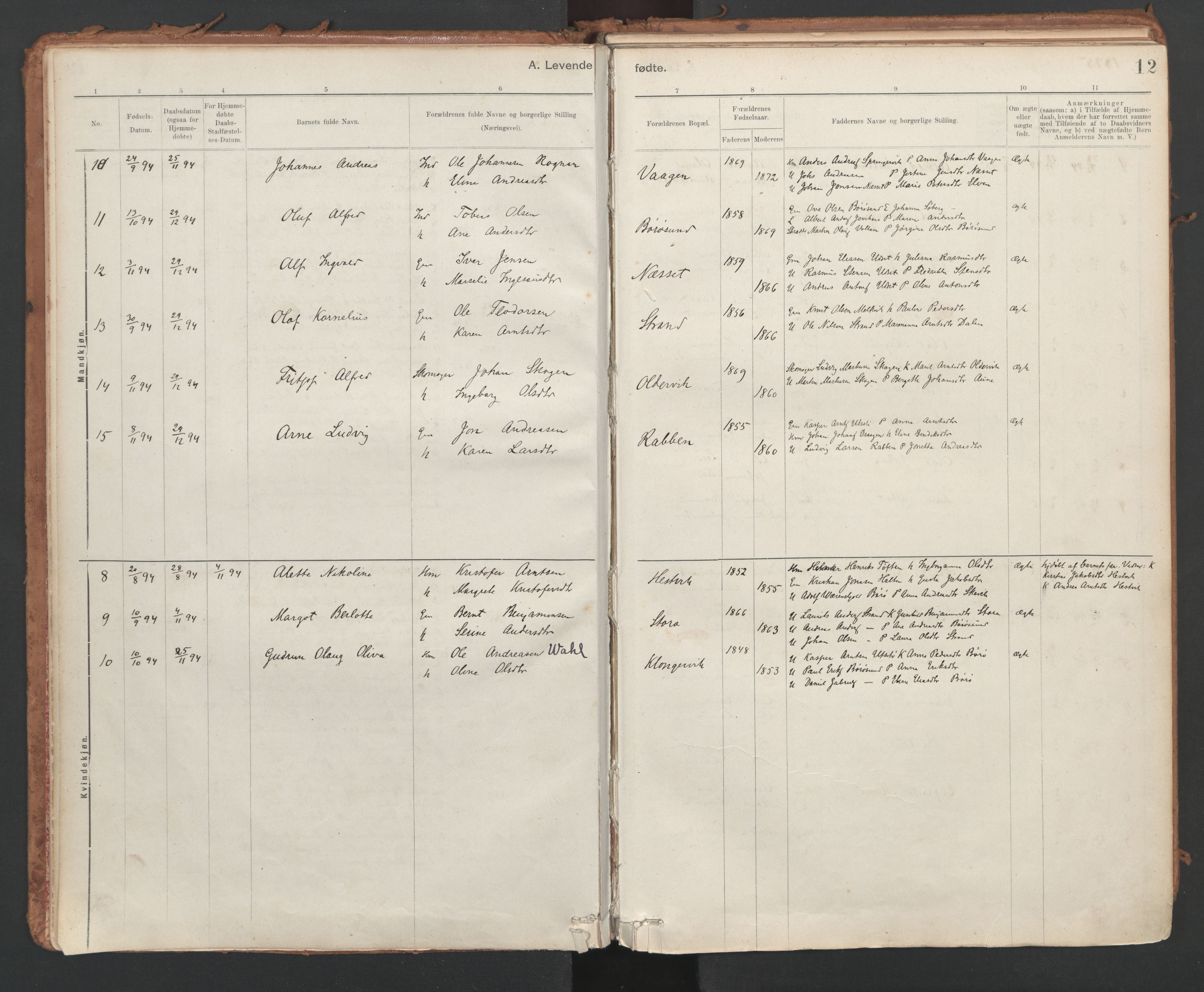 Ministerialprotokoller, klokkerbøker og fødselsregistre - Sør-Trøndelag, AV/SAT-A-1456/639/L0572: Ministerialbok nr. 639A01, 1890-1920, s. 12